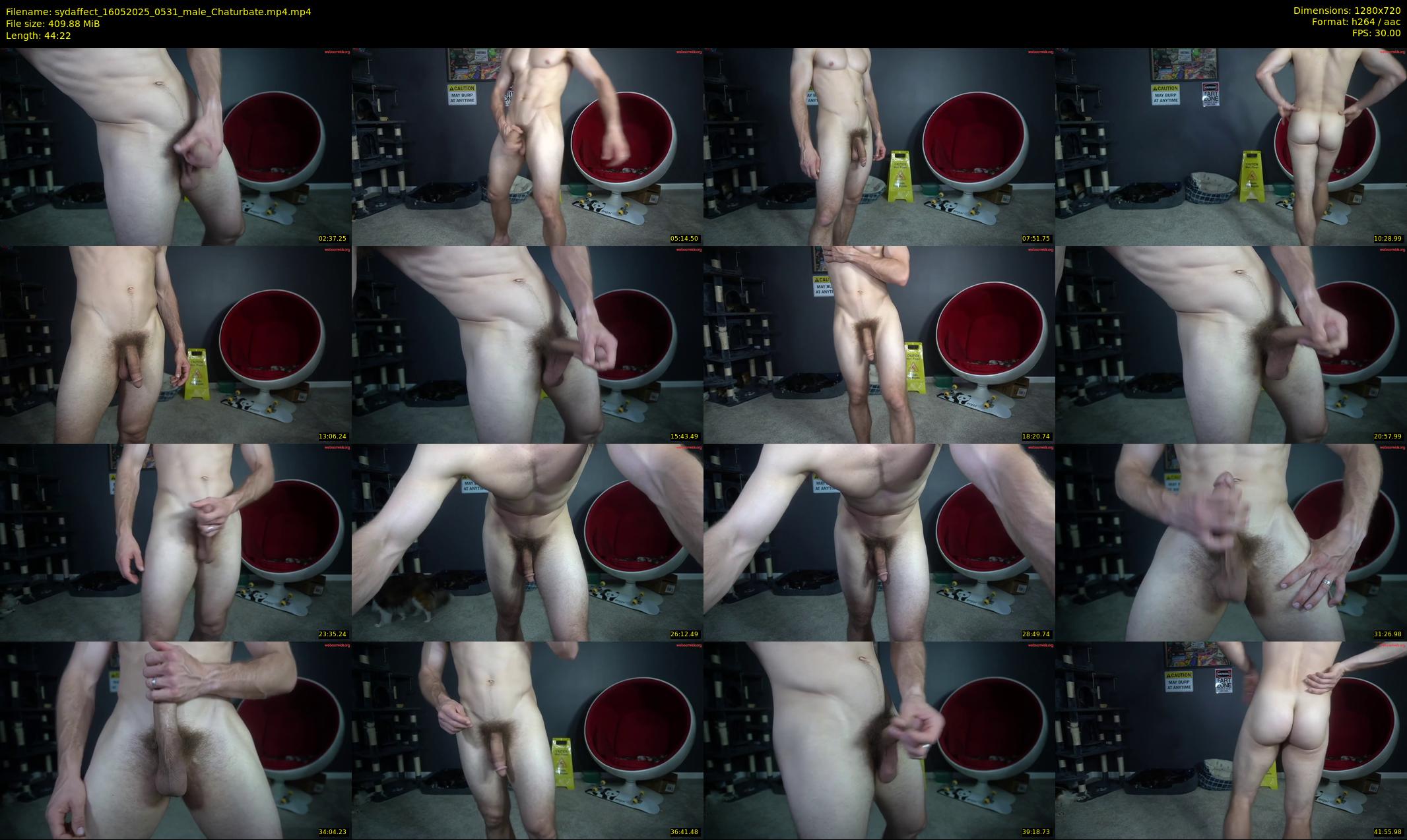 sydaffect — 45 minute Chaturbate male cam show recording, 720p, May 16, 2025