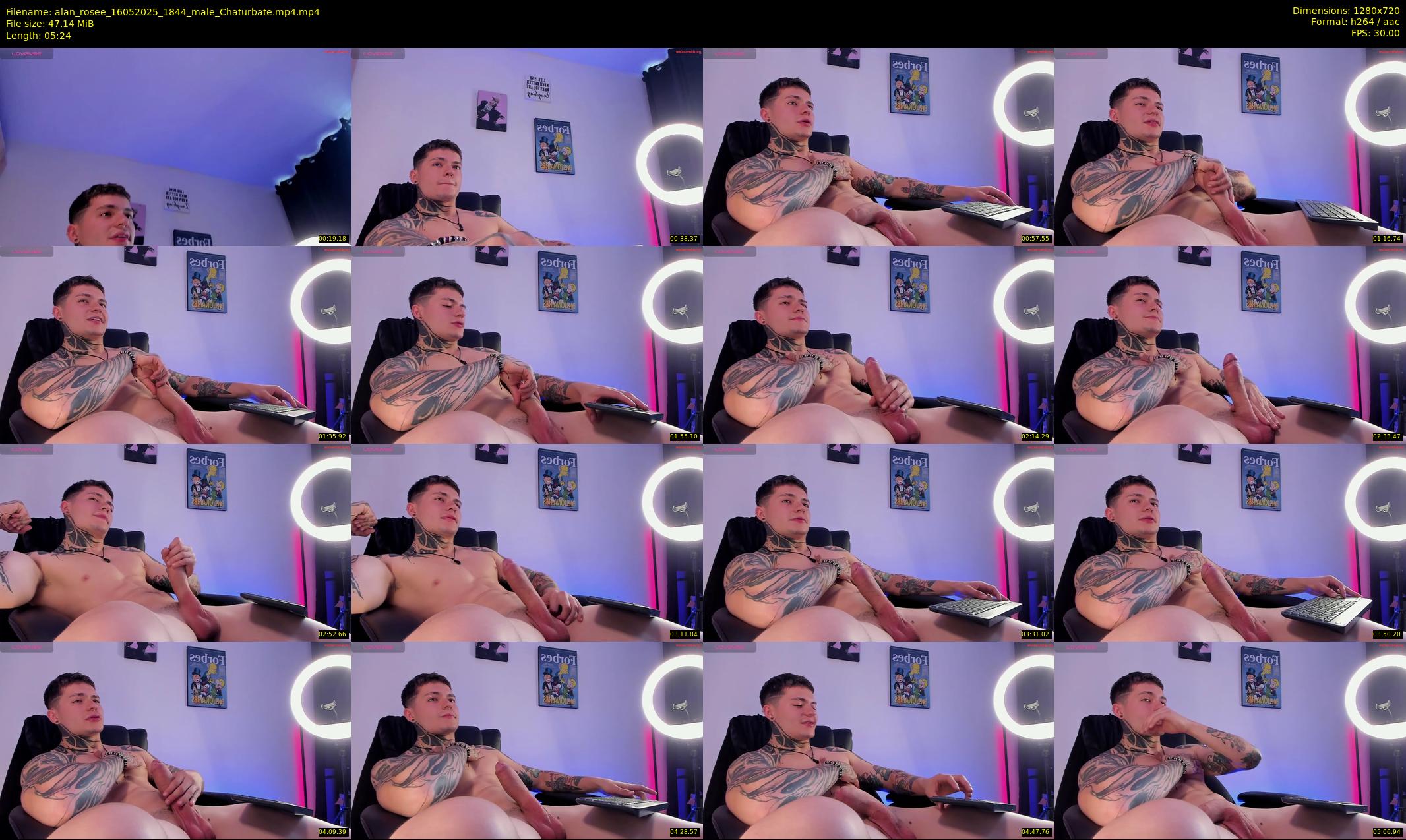 alan_rosee — 6 minute Chaturbate male cam show recording, 720p, May 16, 2025