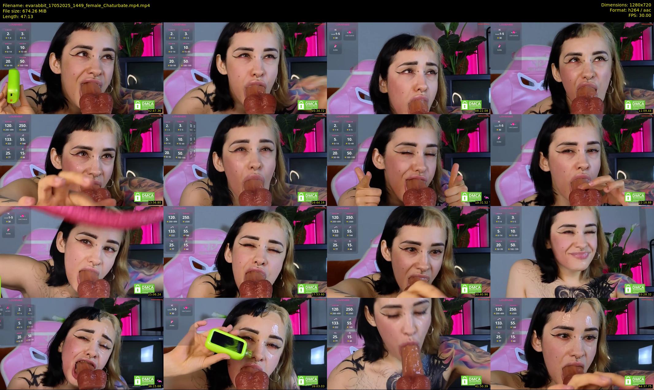 evarabbit — 48 minute Chaturbate female cam show recording, 720p, May 17, 2025