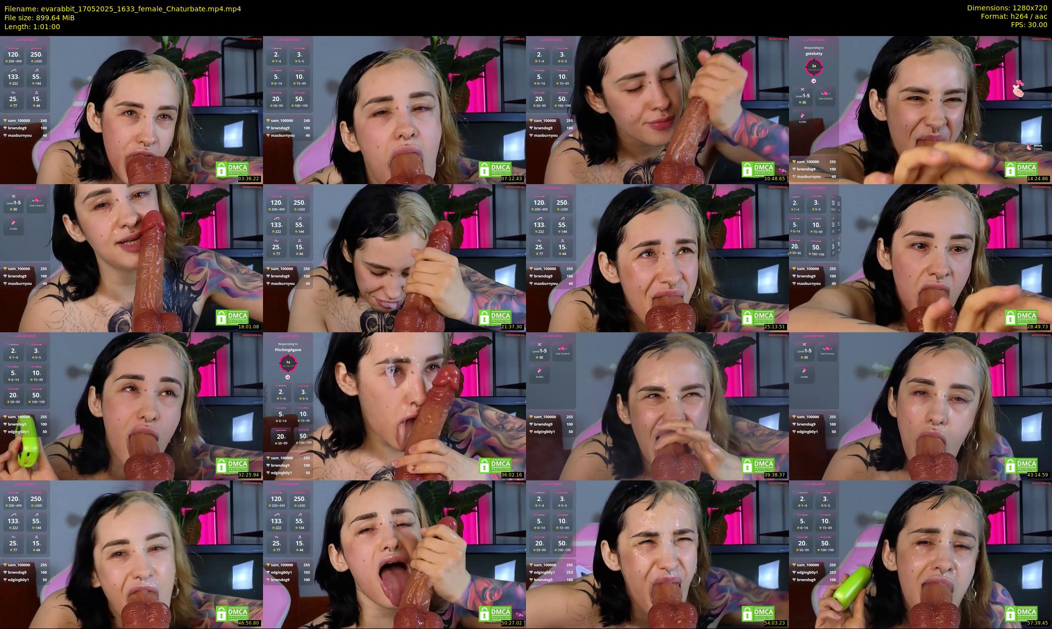 evarabbit — 61 minute Chaturbate female cam show recording, 720p, May 17, 2025