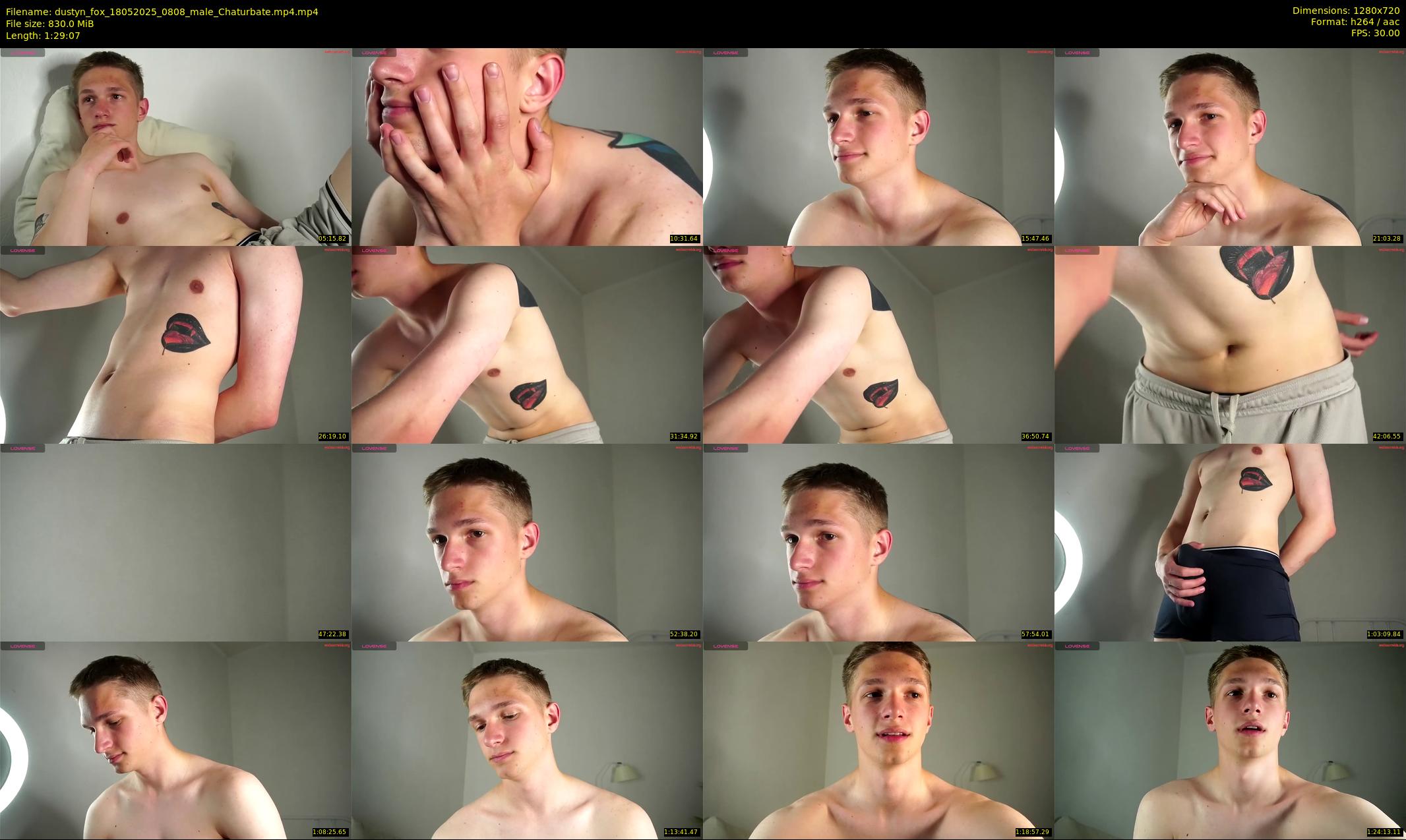 dustyn_fox — 90 minute Chaturbate male cam show recording, 720p, May 18, 2025