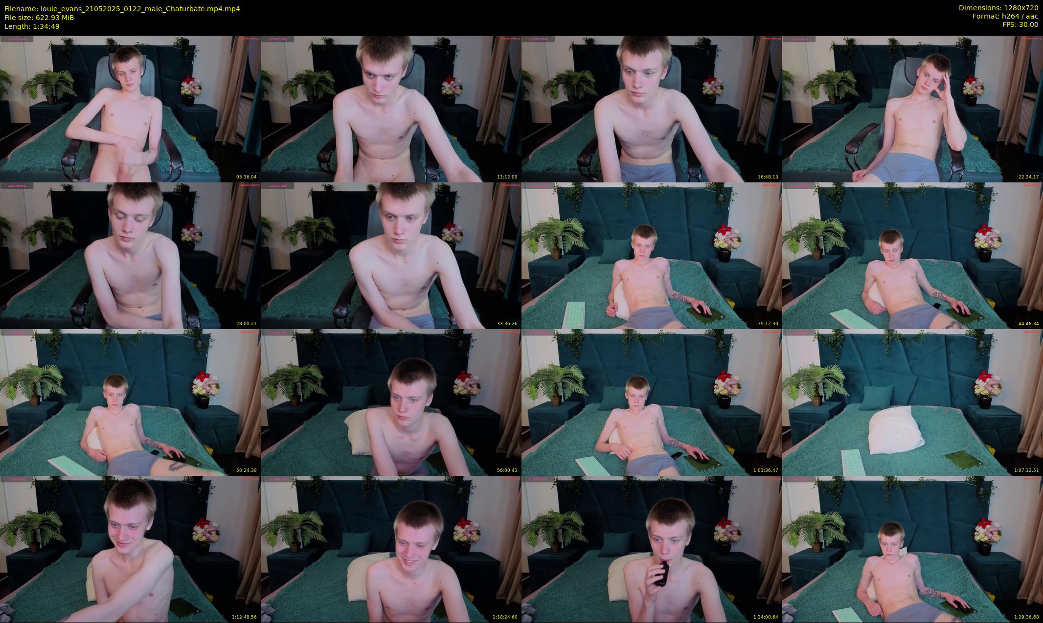 louie_evans — 95 minute Chaturbate male cam show recording, 720p, May 21, 2025