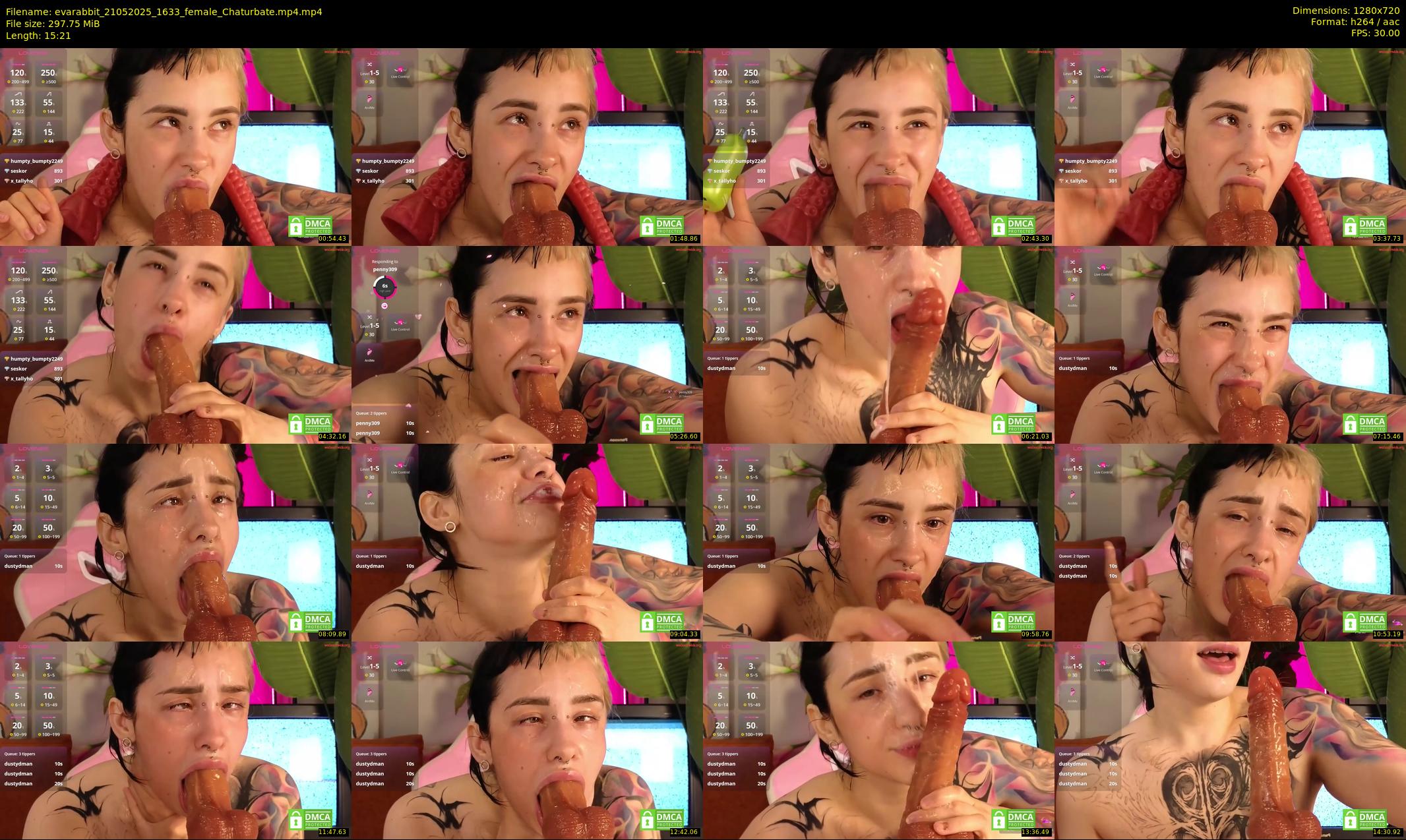 evarabbit — 16 minute Chaturbate female cam show recording, 720p, May 21, 2025