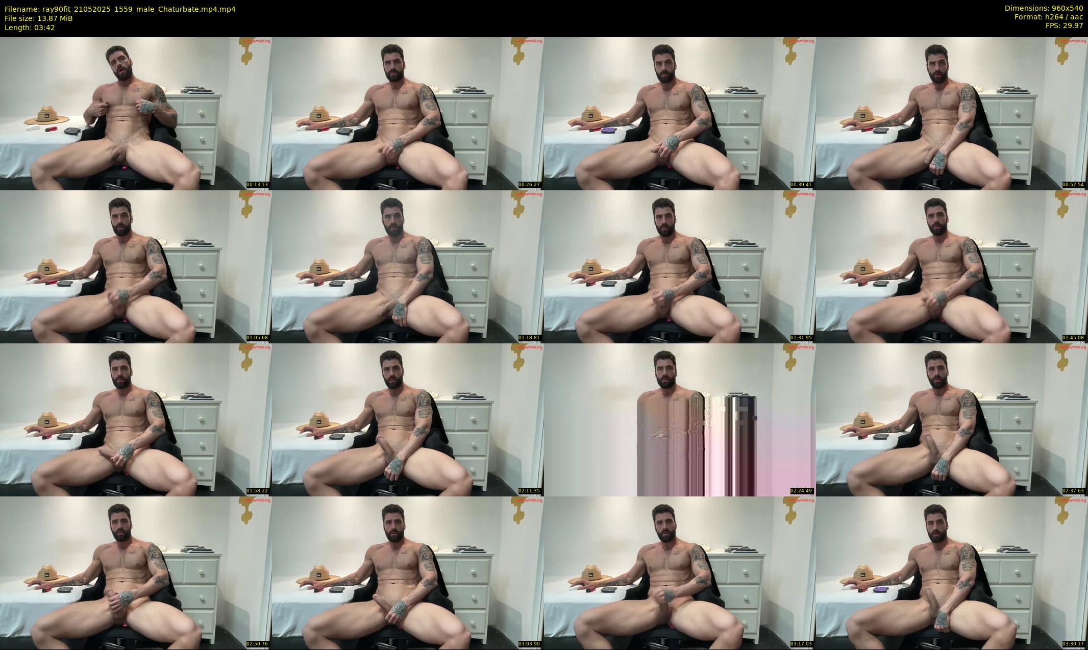 ray90fit — 4 minute Chaturbate male cam show recording, 480p, May 21, 2025