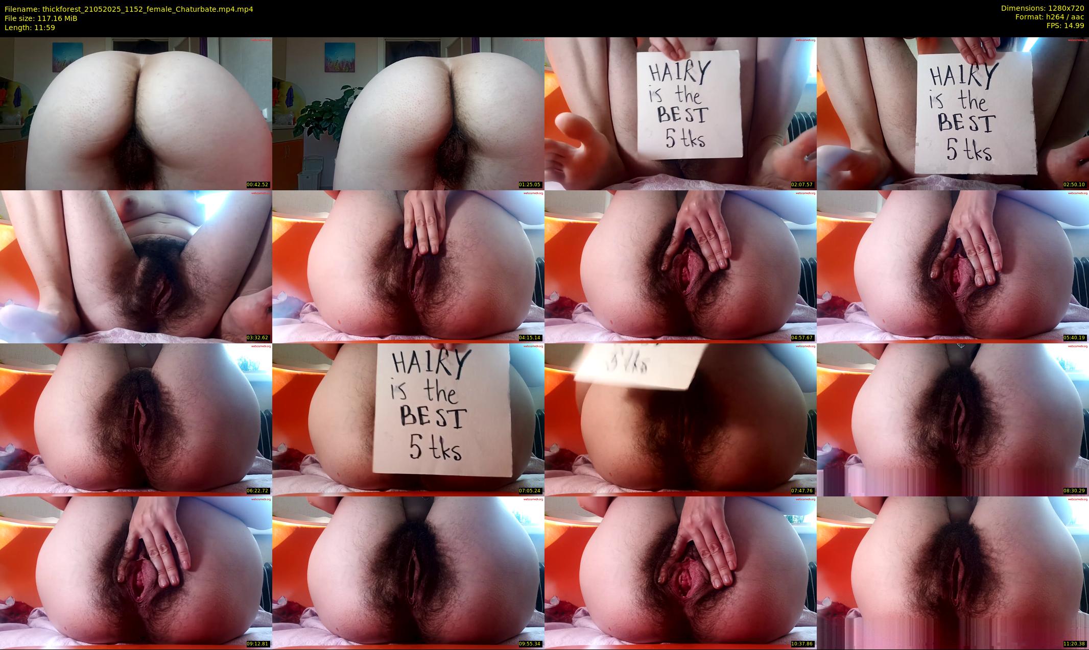 thickforest — 12 minute Chaturbate female cam show recording, 720p, May 21, 2025