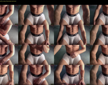 bestdick1991 — 6 minute Chaturbate male cam show recording, 720p, May 23, 2025