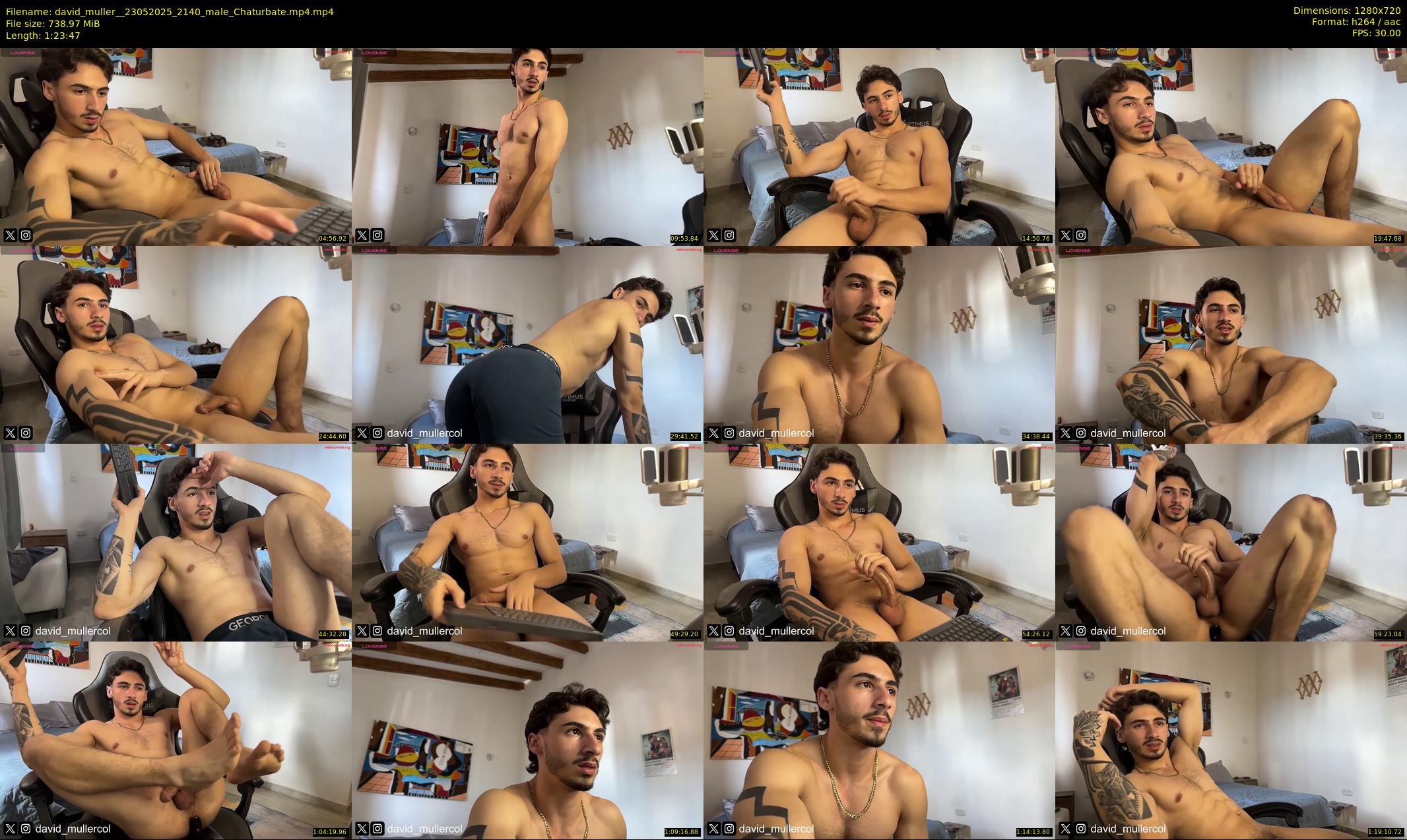 david_muller_ — 84 minute Chaturbate male cam show recording, 720p, May 23, 2025