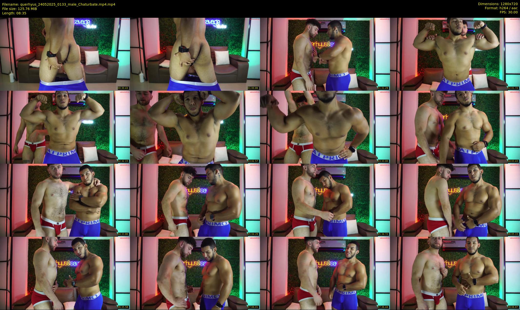 querhyus — 9 minute Chaturbate male cam show recording, 720p, May 24, 2025