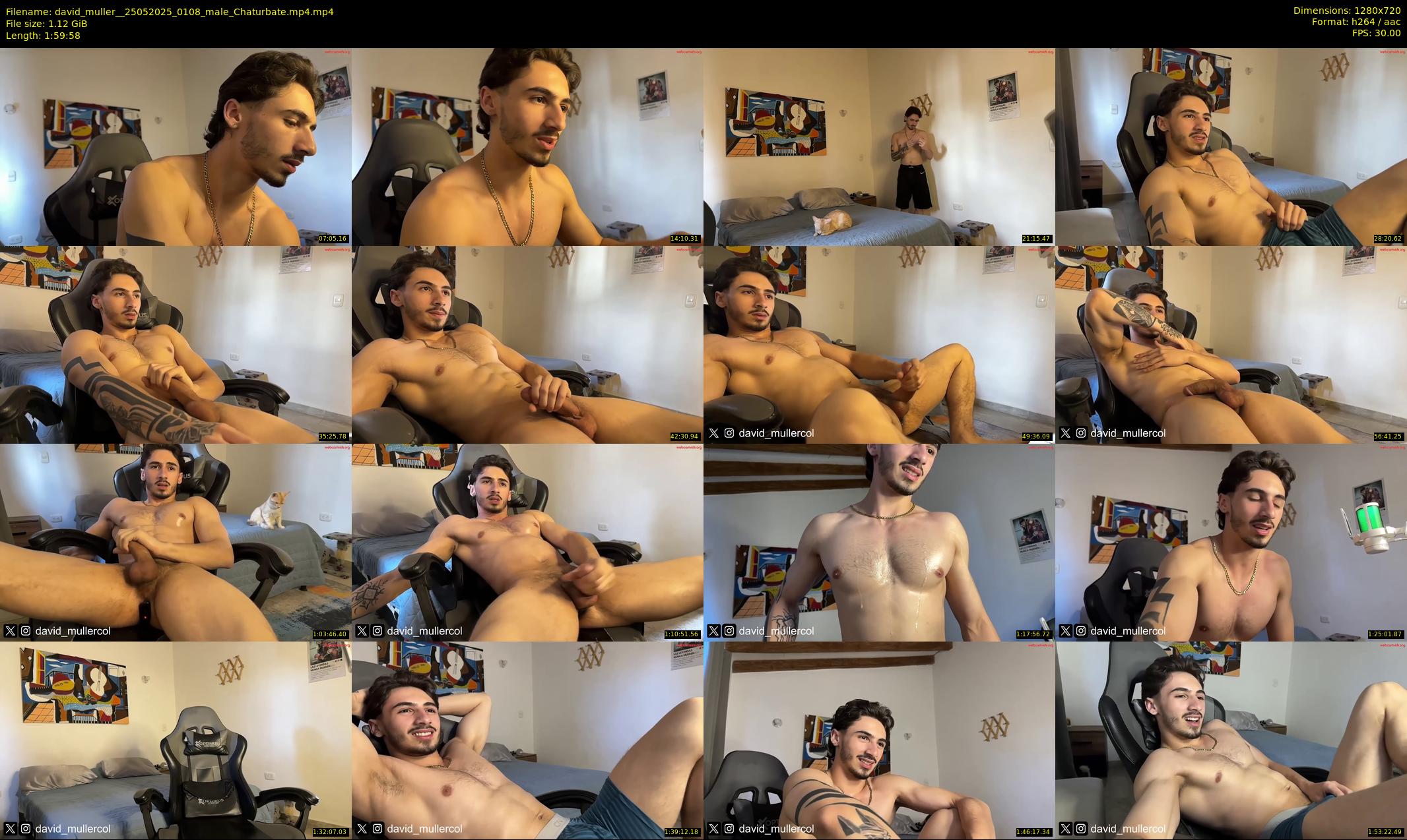 david_muller_ — 120 minute Chaturbate male cam show recording, 720p, May 25, 2025