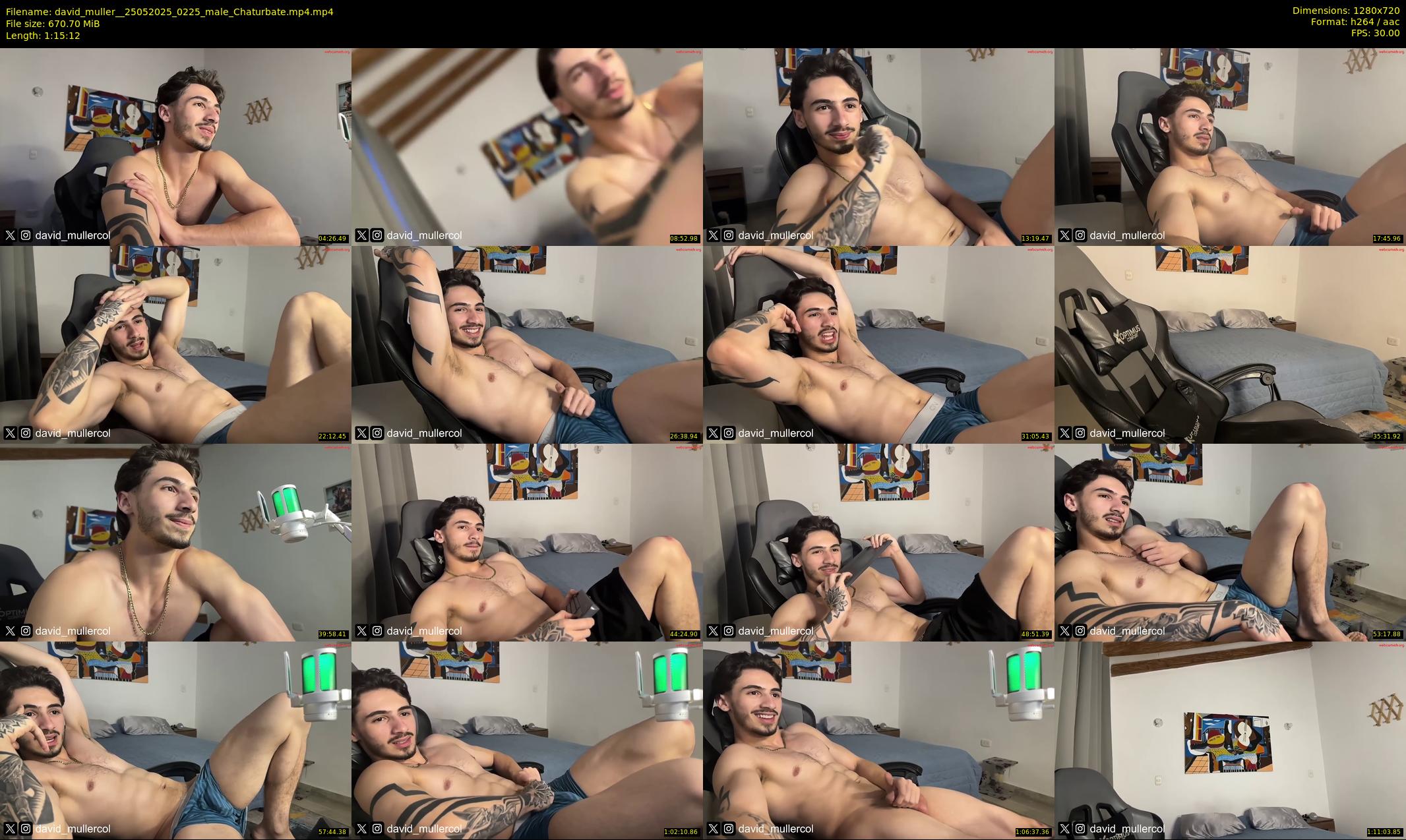 david_muller_ — 76 minute Chaturbate male cam show recording, 720p, May 25, 2025