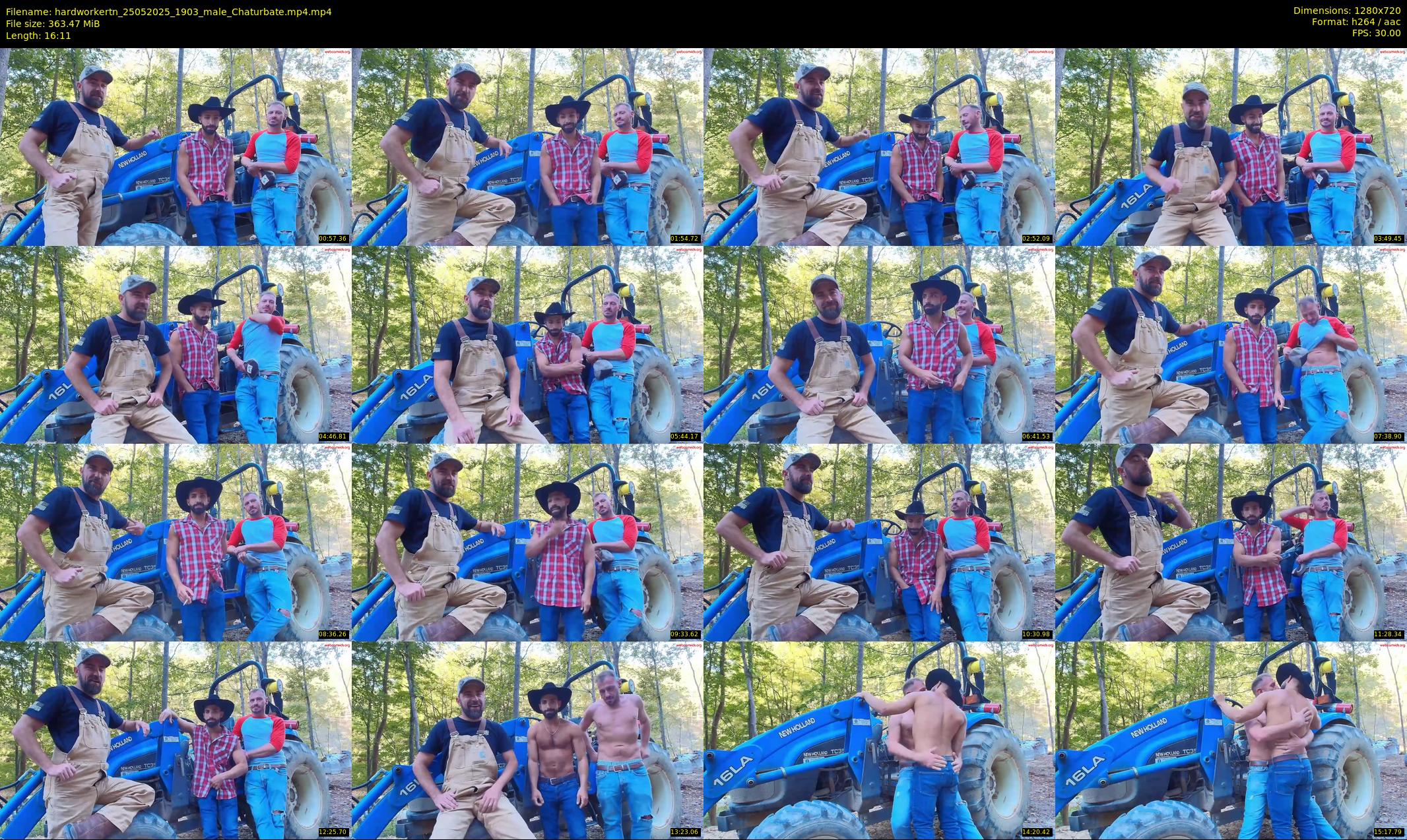 hardworkertn — 17 minute Chaturbate male cam show recording, 720p, May 25, 2025