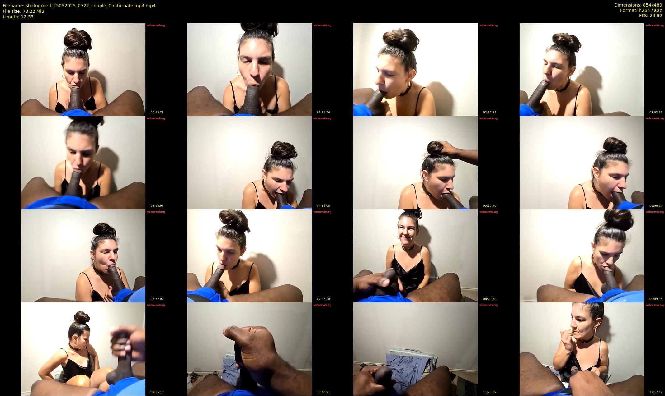 shatnerded — 13 minute Chaturbate couple cam show recording, 480p, May 25, 2025