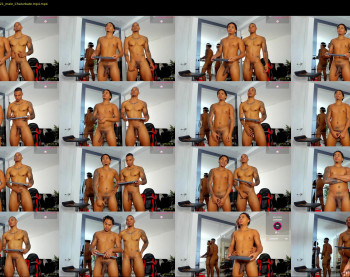 troywesly_ — 19 minute Chaturbate male cam show recording, 720p, May 25, 2025