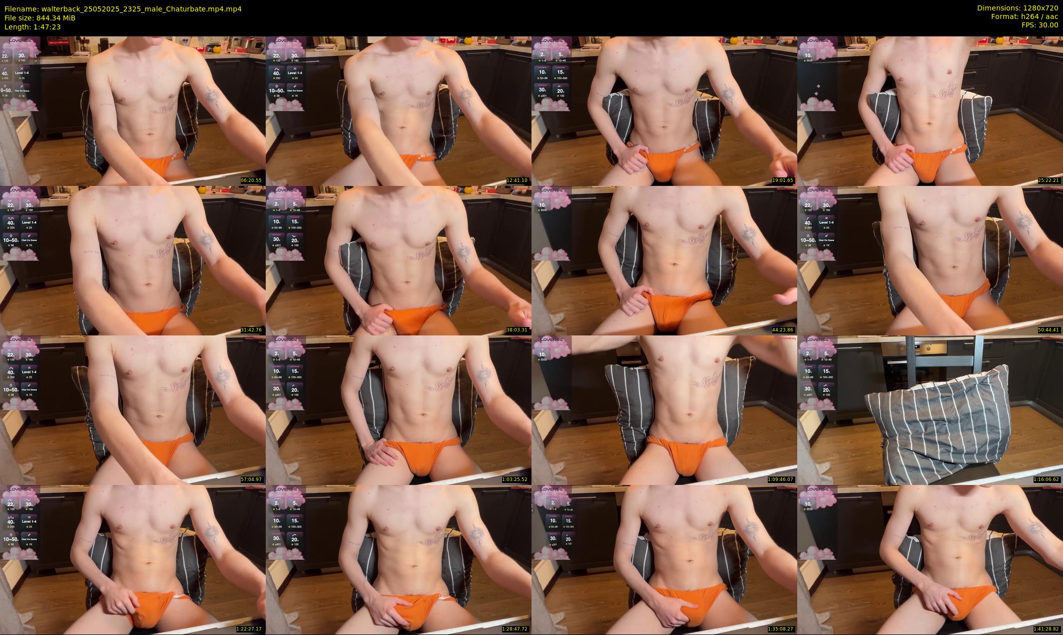 walterback — 108 minute Chaturbate male cam show recording, 720p, May 25, 2025