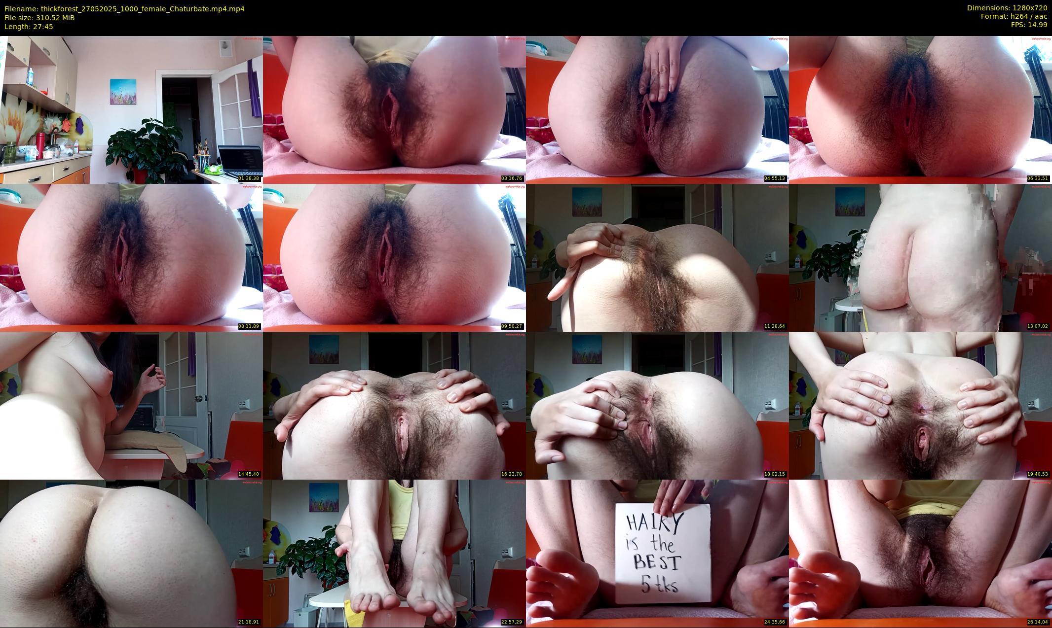 thickforest — 28 minute Chaturbate female cam show recording, 720p, May 27, 2025