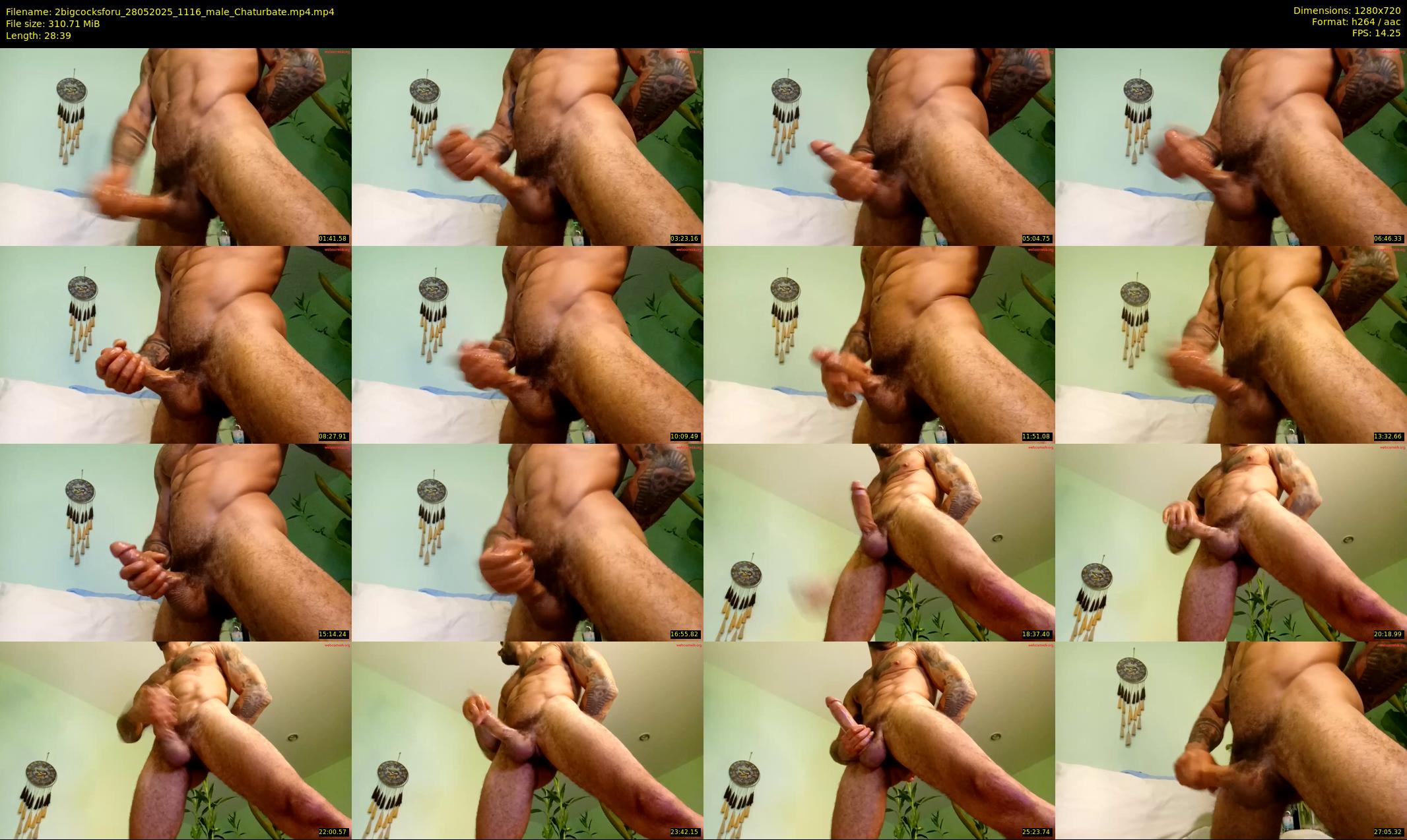 2bigcocksforu — 29 minute Chaturbate male cam show recording, 720p, May 28, 2025