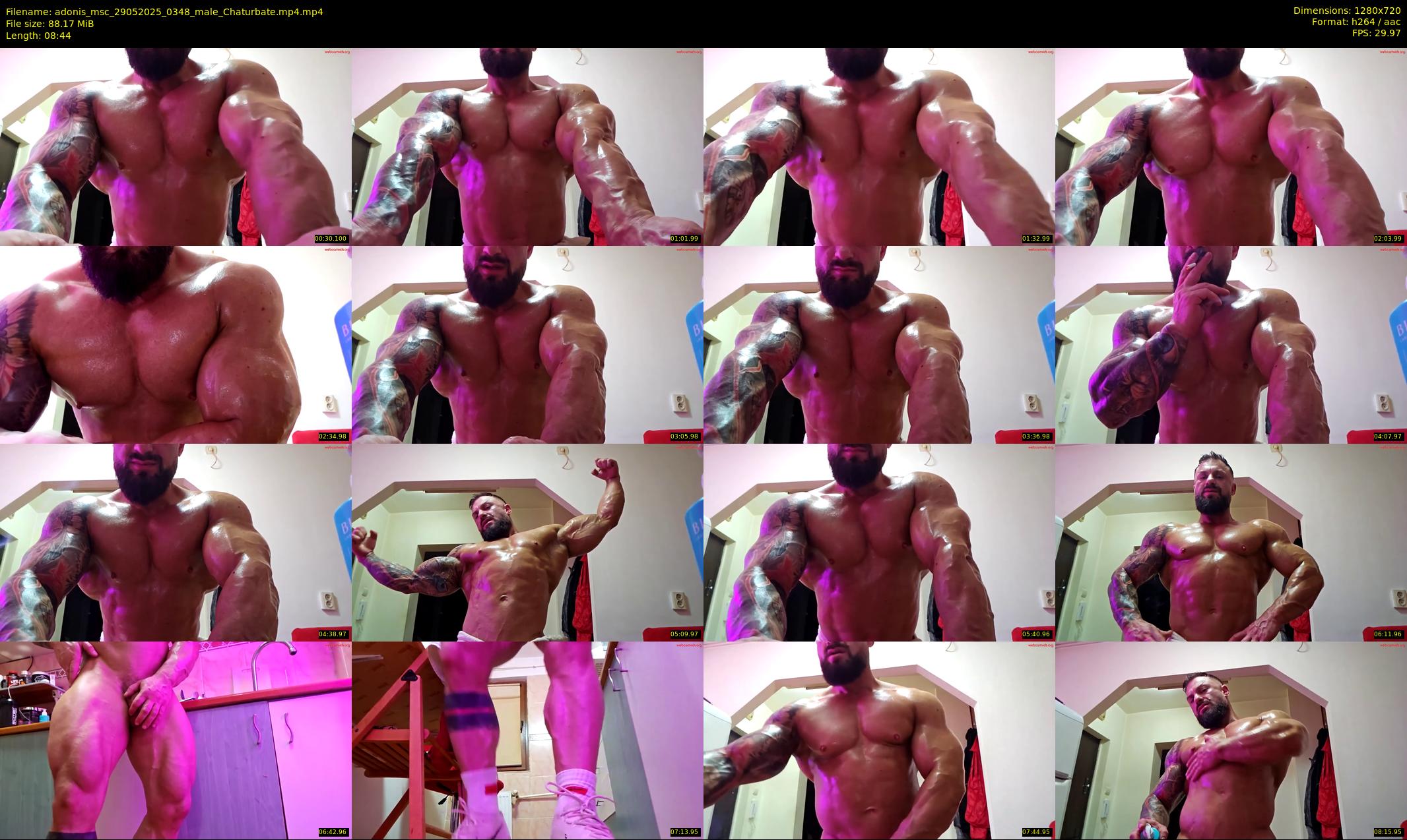 adonis_msc — 9 minute Chaturbate male cam show recording, 720p, May 29, 2025