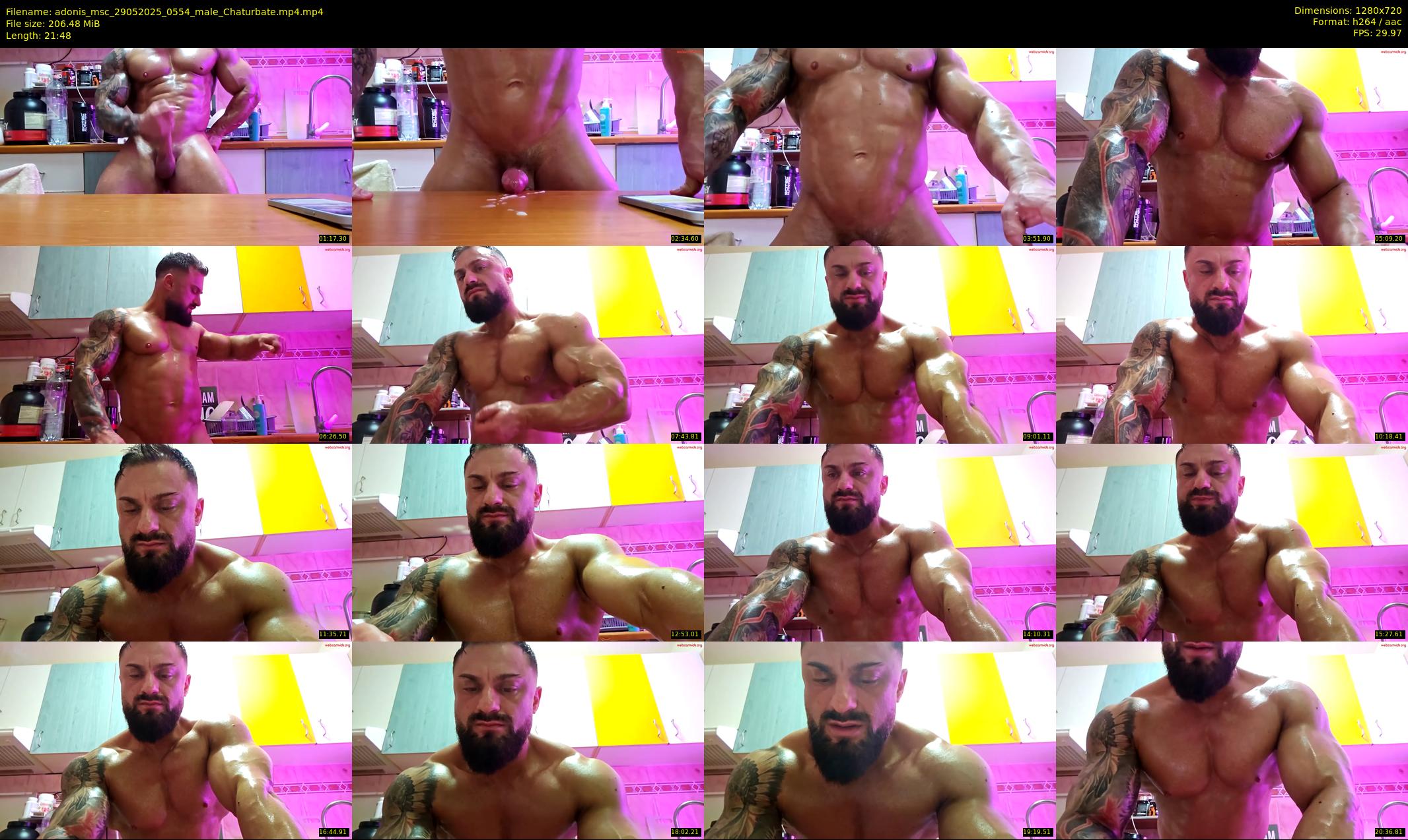 adonis_msc — 22 minute Chaturbate male cam show recording, 720p, May 29, 2025
