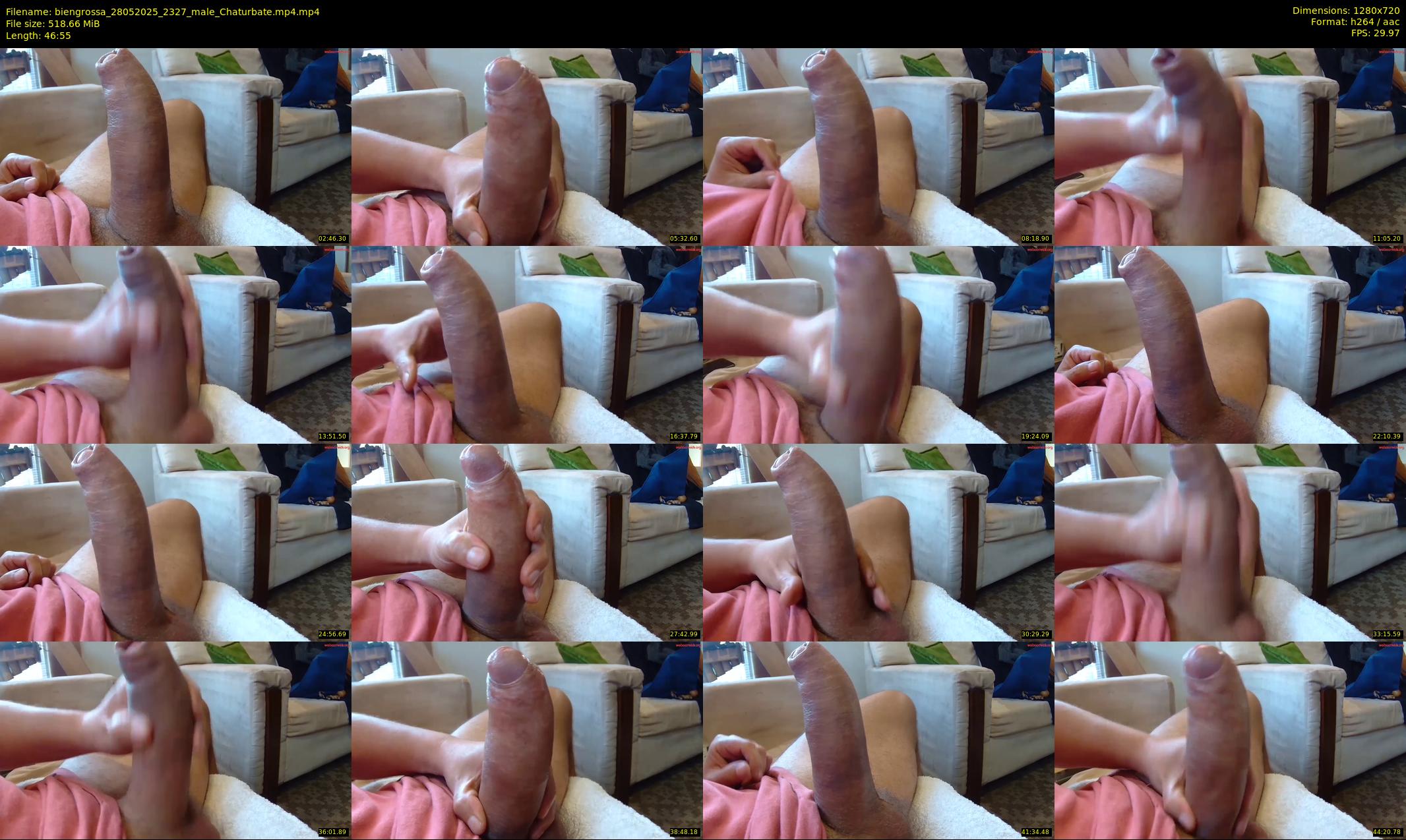 biengrossa — 47 minute Chaturbate male cam show recording, 720p, May 28, 2025