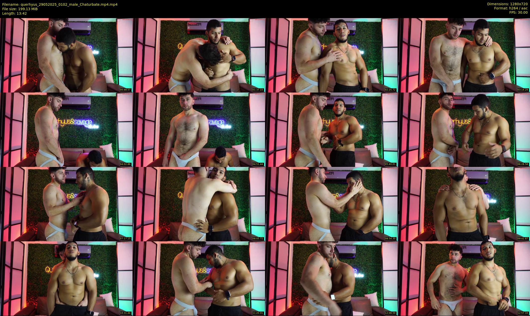 querhyus — 14 minute Chaturbate male cam show recording, 720p, May 29, 2025