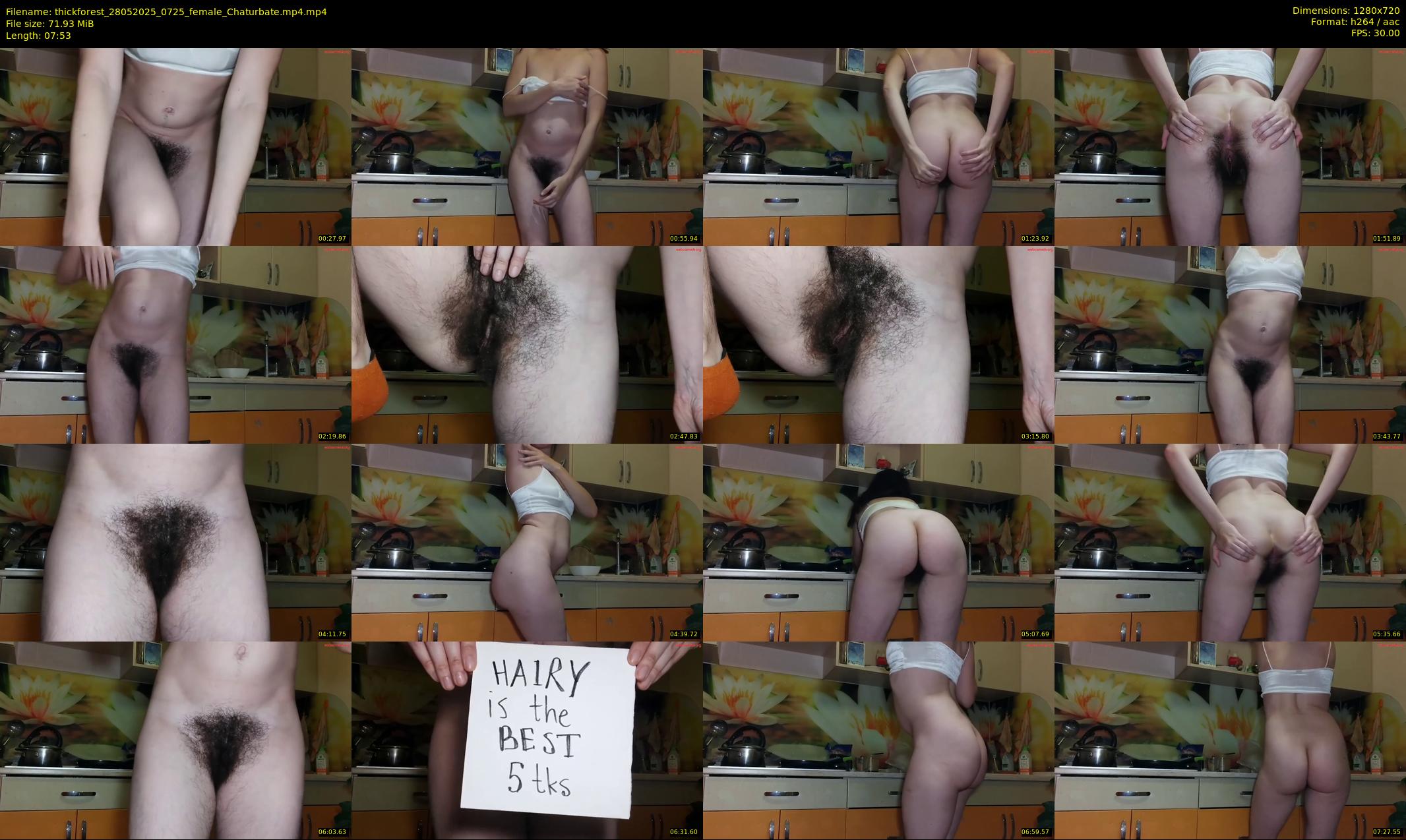 thickforest — 8 minute Chaturbate female cam show recording, 720p, May 28, 2025