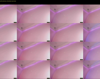 bella_adams_ — 22 minute Chaturbate female cam show recording, 720p, May 30, 2025