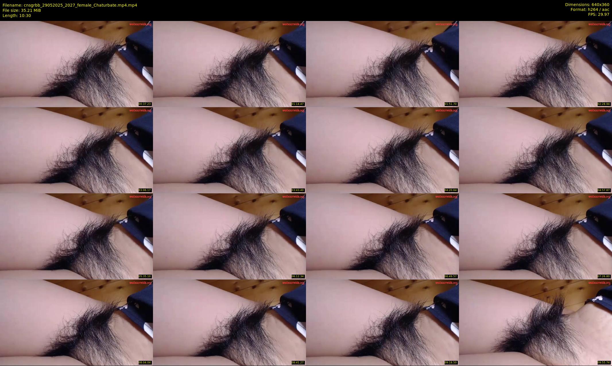 cnsgrbb — 11 minute Chaturbate female cam show recording, 360p, May 29, 2025