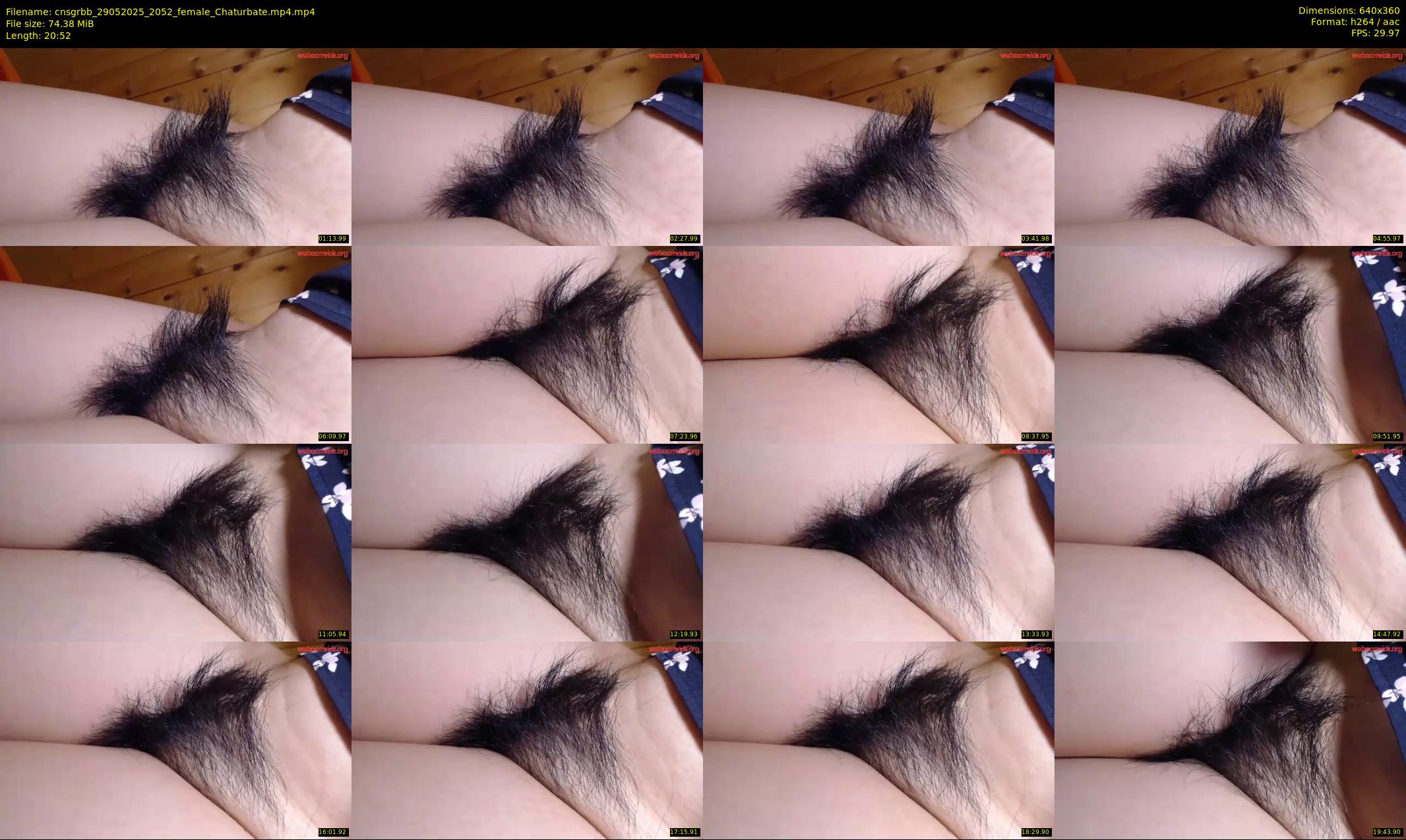 cnsgrbb — 21 minute Chaturbate female cam show recording, 360p, May 29, 2025