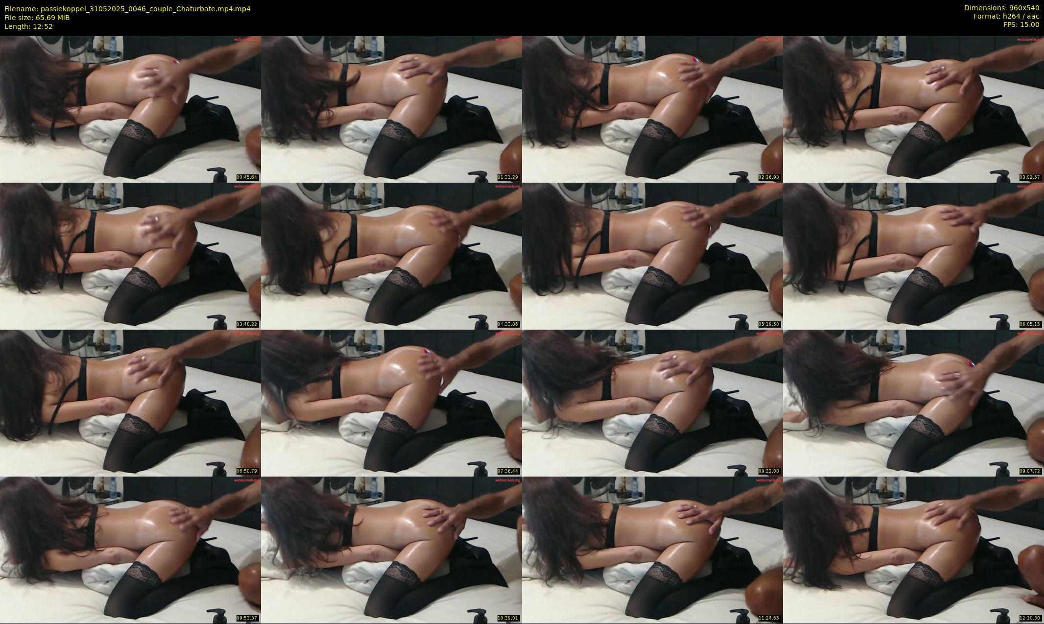 passiekoppel — 13 minute Chaturbate couple cam show recording, 480p, May 31, 2025