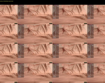 pvssi_ — 13 minute Chaturbate female cam show recording, 720p, May 31, 2025