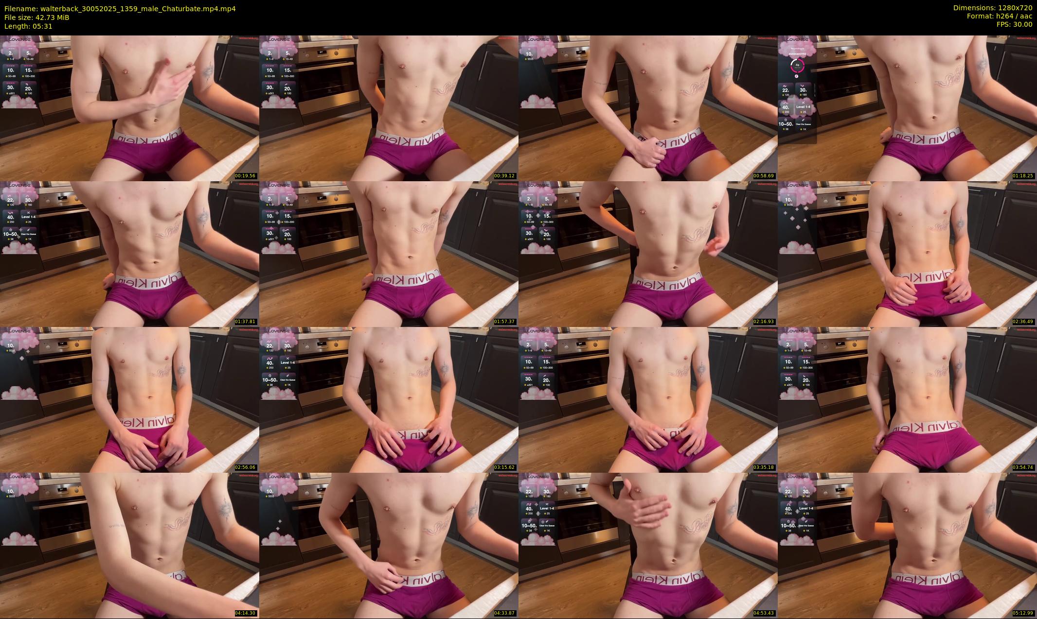 walterback — 6 minute Chaturbate male cam show recording, 720p, May 30, 2025