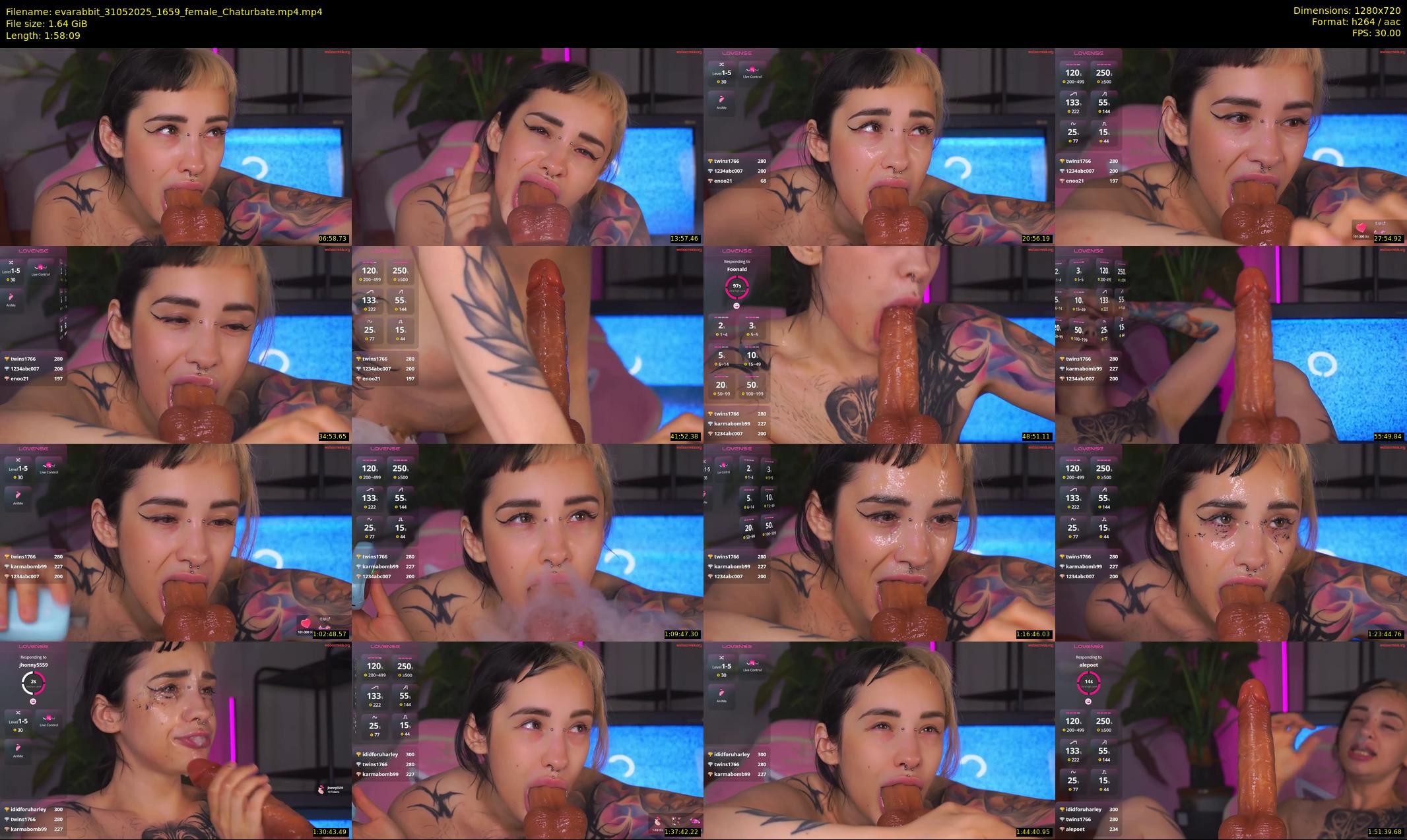 evarabbit — 119 minute Chaturbate female cam show recording, 720p, May 31, 2025