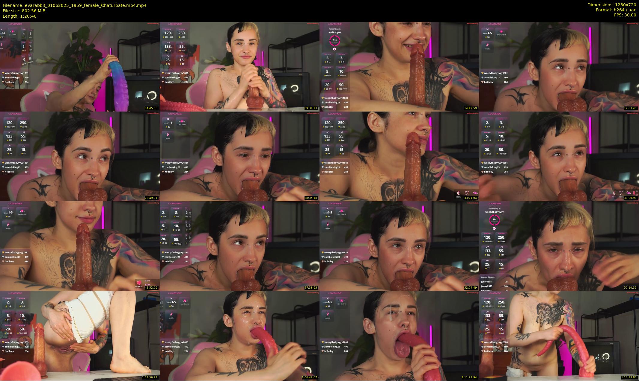 evarabbit — 81 minute Chaturbate female cam show recording, 720p, Jun 1, 2025