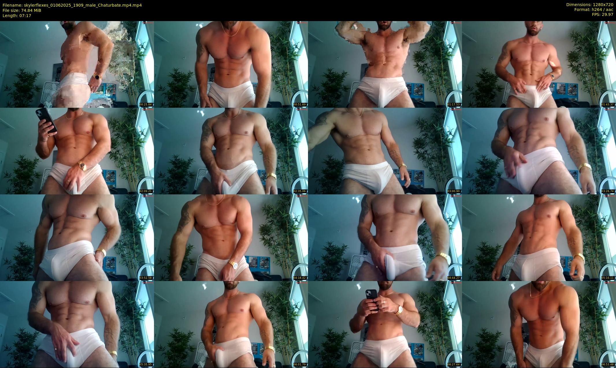 skylerflexes — 8 minute Chaturbate male cam show recording, 720p, Jun 1, 2025