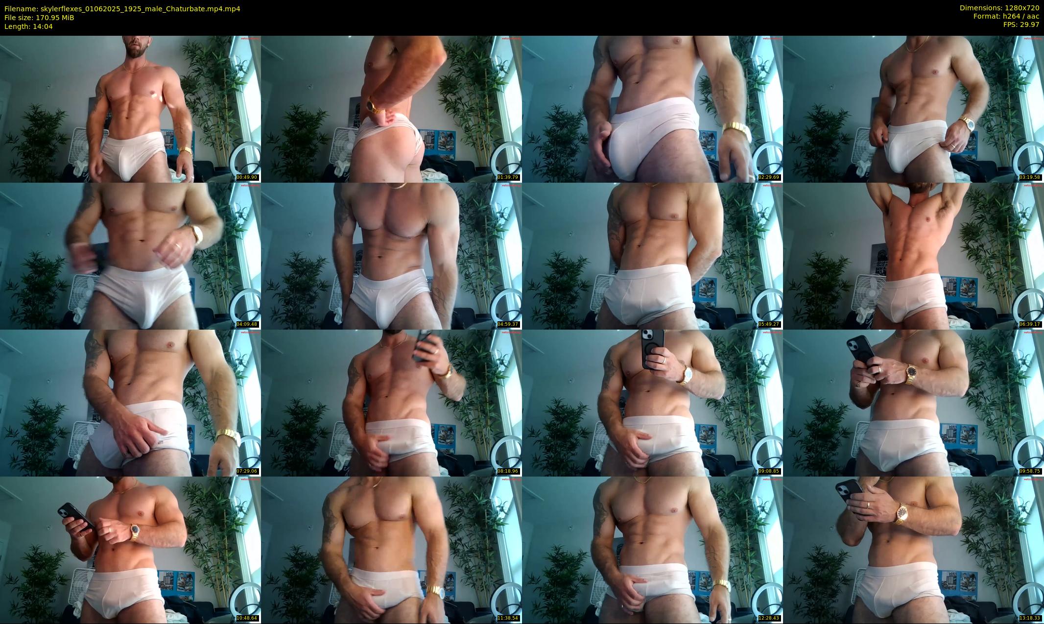 skylerflexes — 15 minute Chaturbate male cam show recording, 720p, Jun 1, 2025