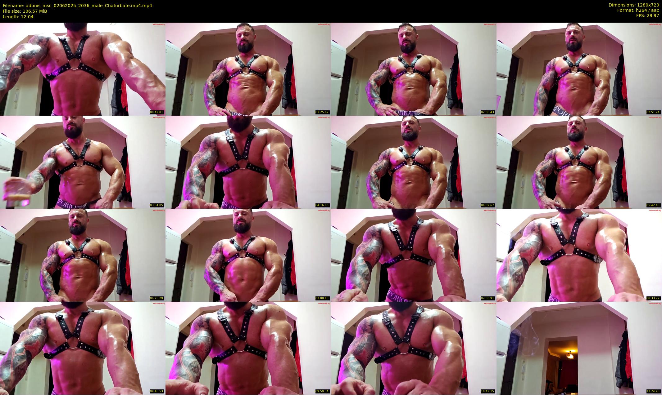 adonis_msc — 13 minute Chaturbate male cam show recording, 720p, Jun 2, 2025