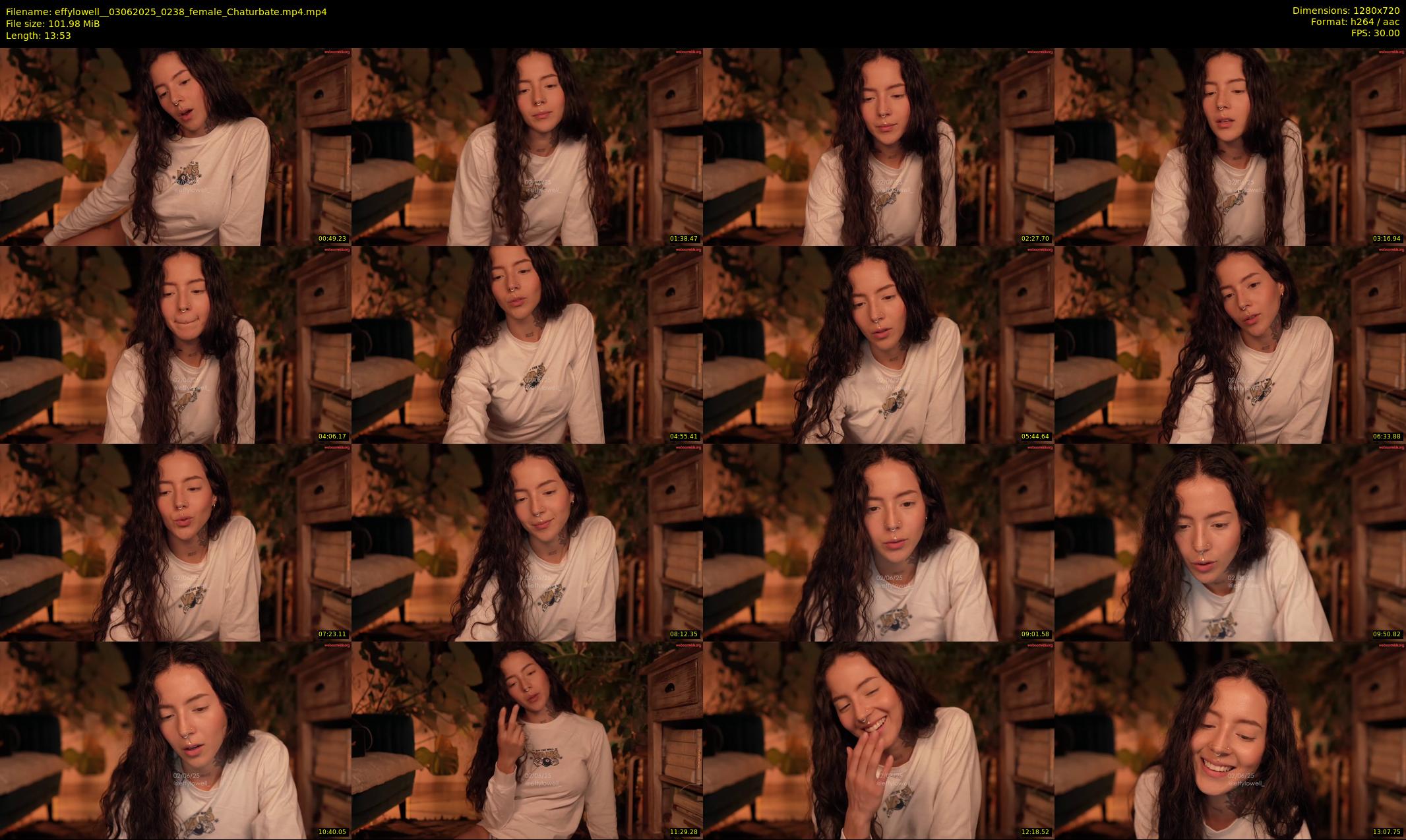 effylowell_ — 14 minute Chaturbate female cam show recording, 720p, Jun 3, 2025