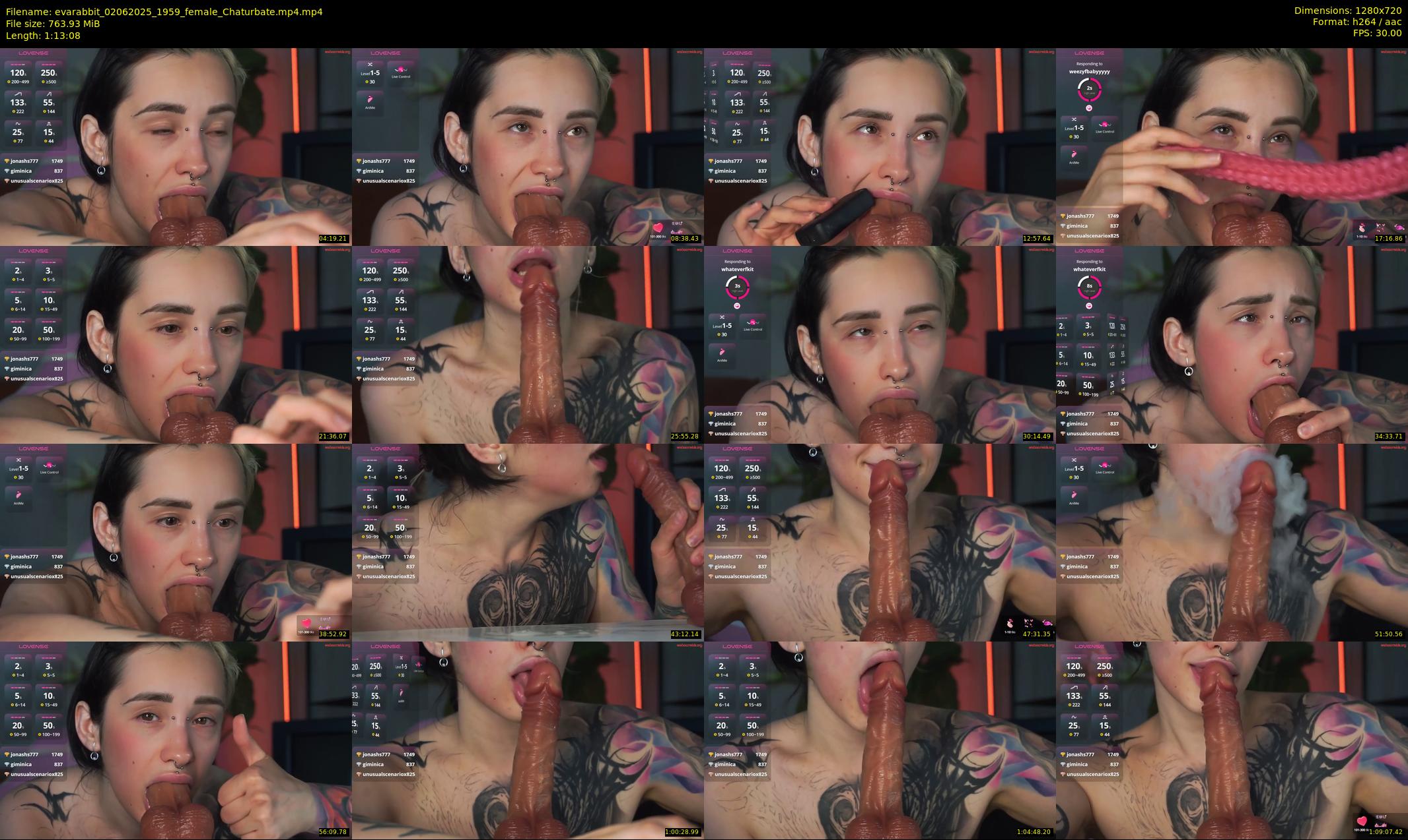 evarabbit — 74 minute Chaturbate female cam show recording, 720p, Jun 2, 2025