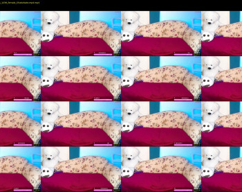 seductivebitxh — 15 minute Chaturbate couple cam show recording, 720p, Jun 2, 2025