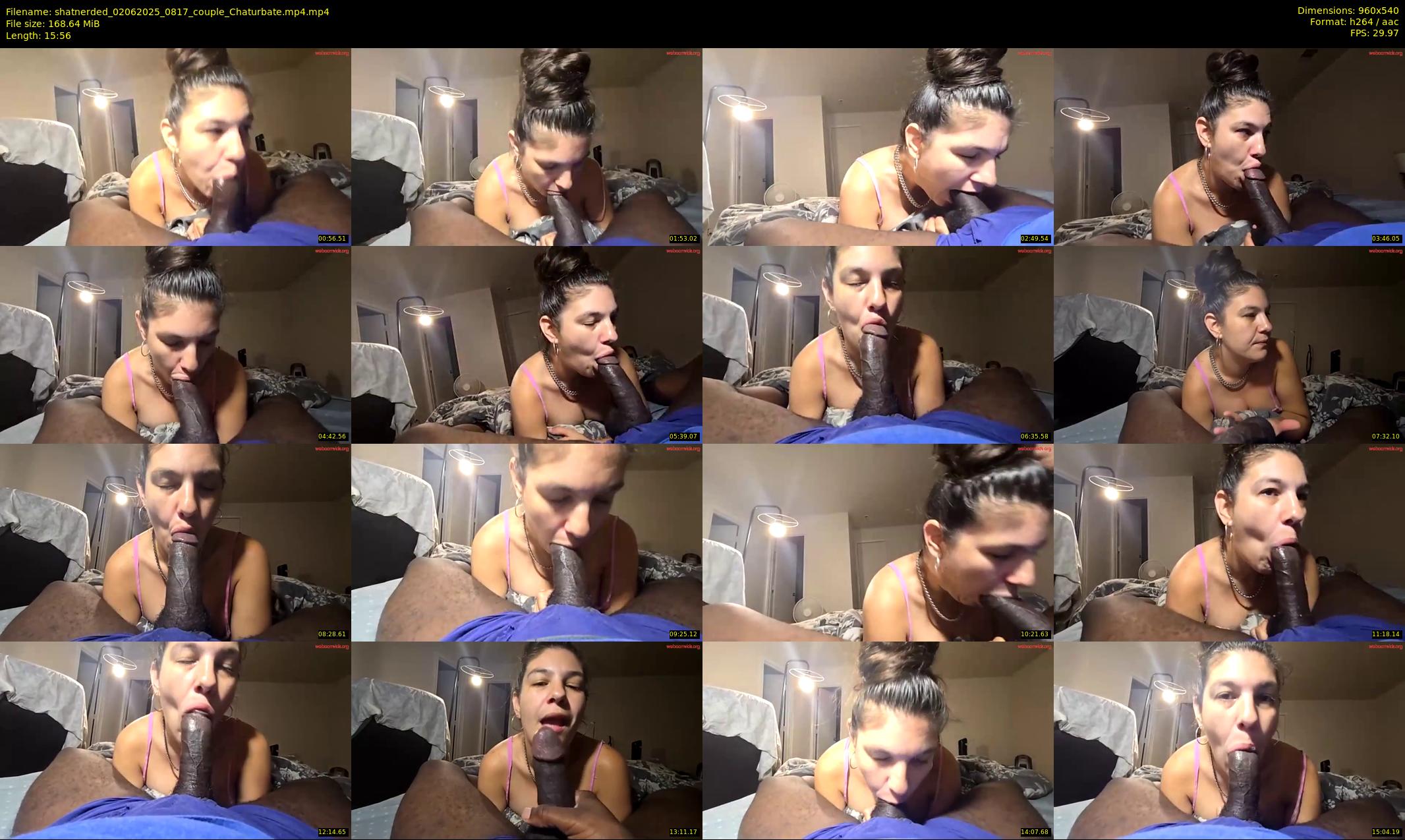 shatnerded — 16 minute Chaturbate couple cam show recording, 480p, Jun 2, 2025