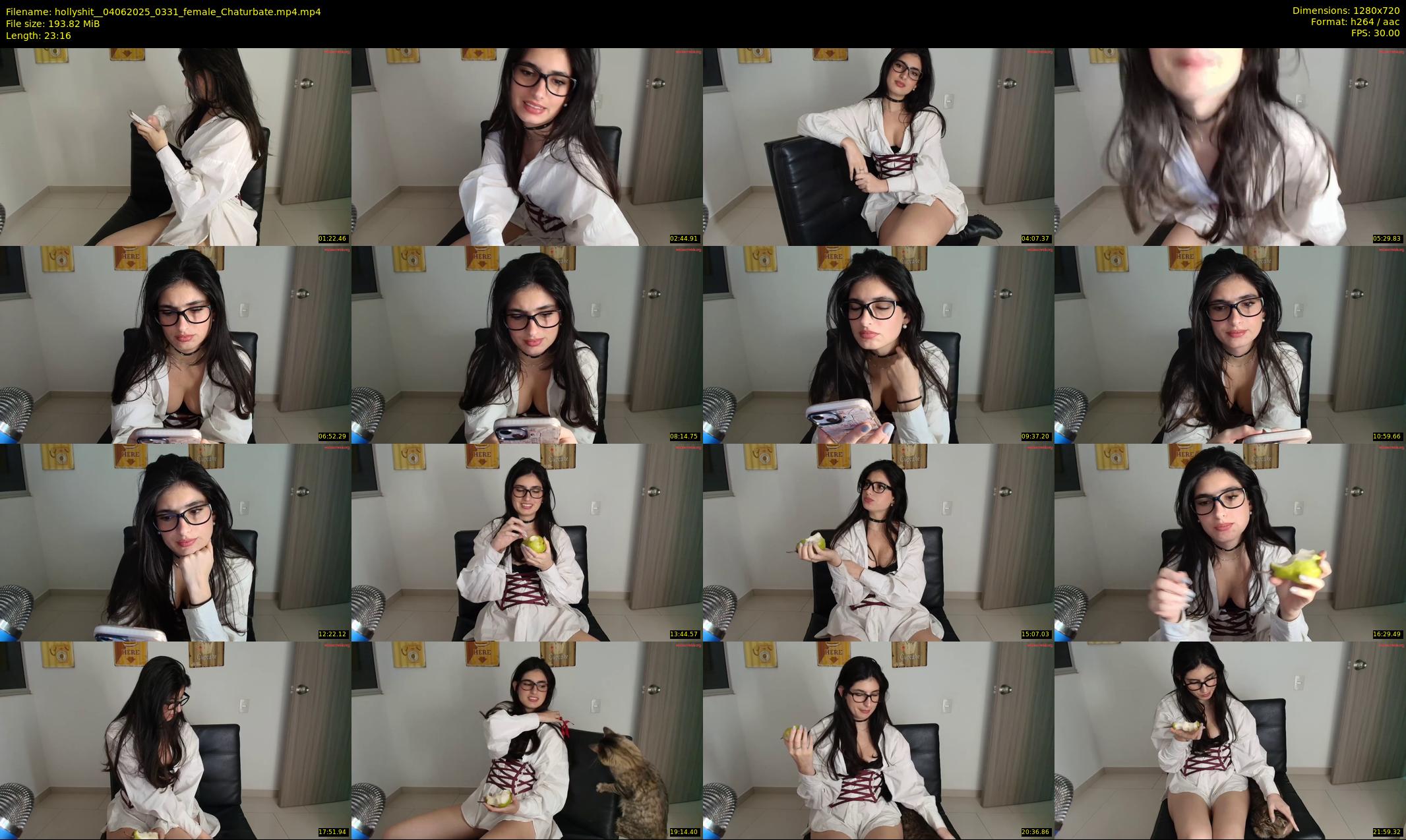 hollyshit_ — 24 minute Chaturbate female cam show recording, 720p, Jun 4, 2025