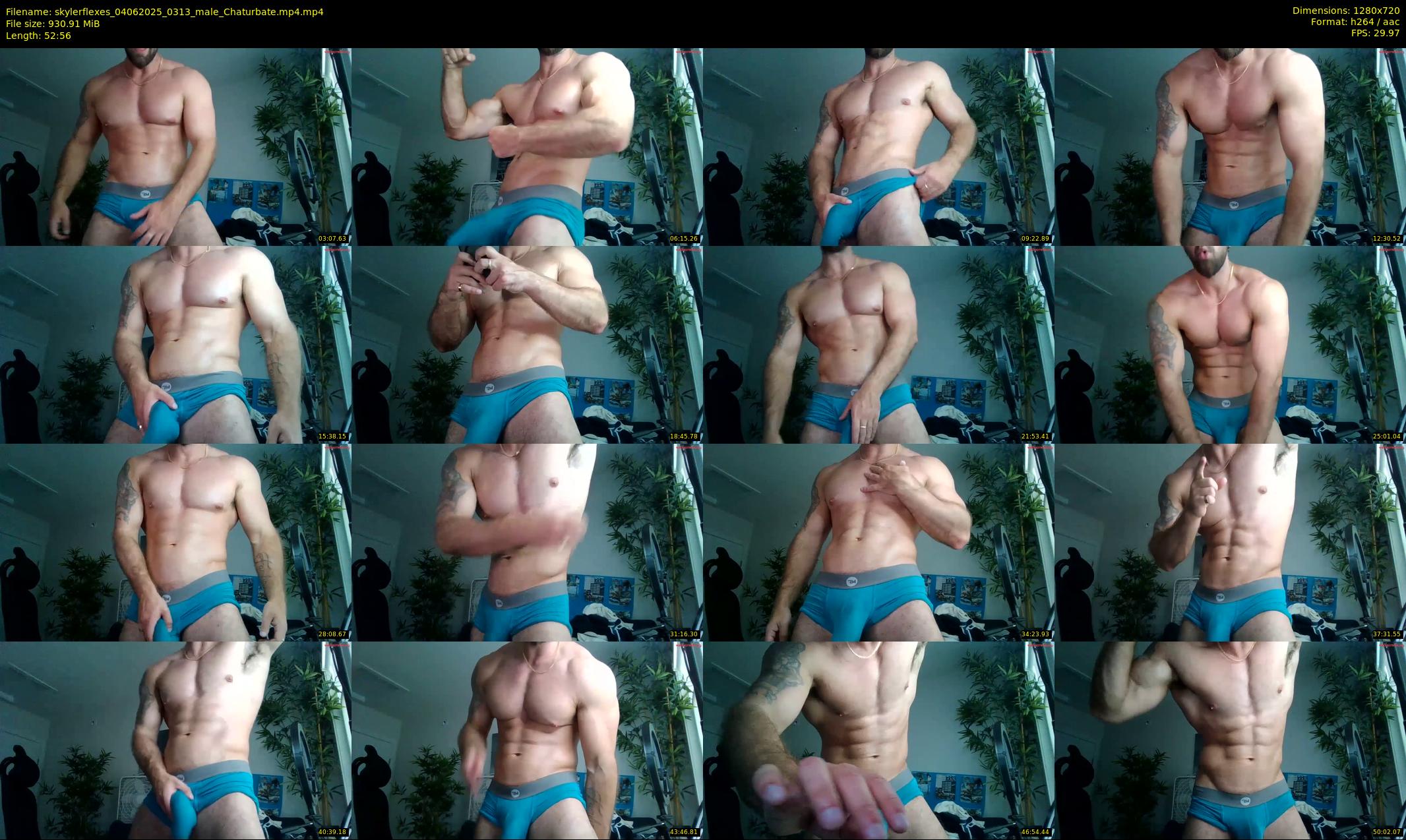 skylerflexes — 53 minute Chaturbate male cam show recording, 720p, Jun 4, 2025