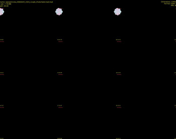 swanprincess — 47 minute Chaturbate female cam show recording, 720p, Jun 3, 2025