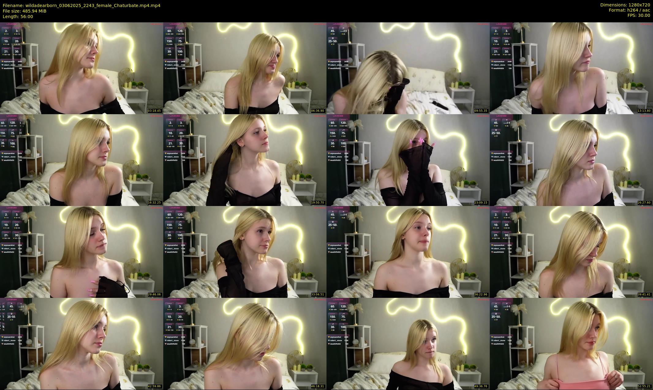 wildadearborn — 56 minute Chaturbate female cam show recording, 720p, Jun 3, 2025