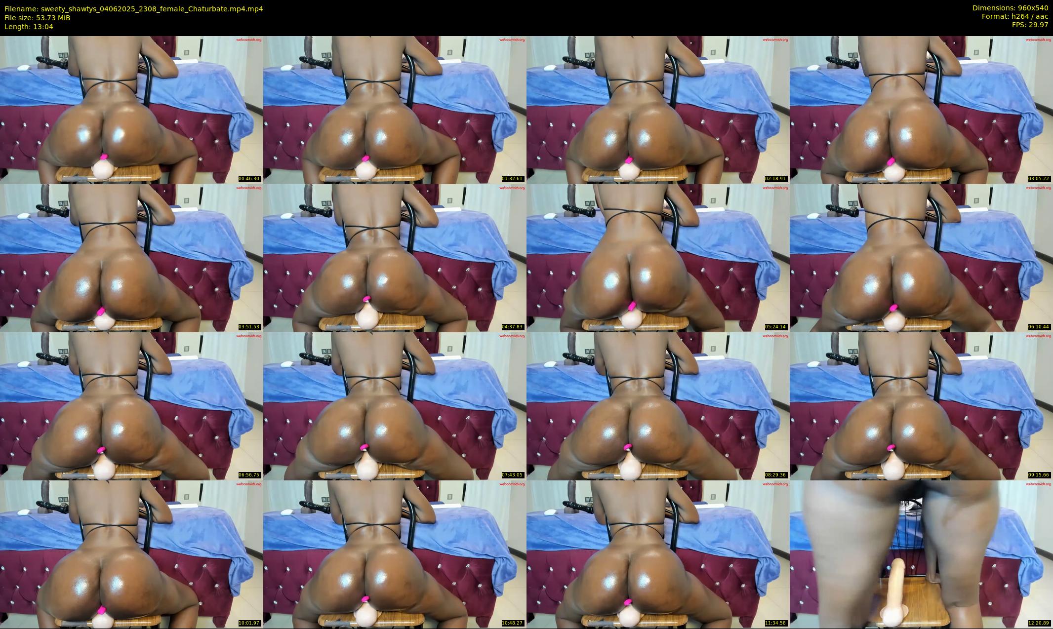 sweety_shawtys — 14 minute Chaturbate female cam show recording, 480p, Jun 4, 2025