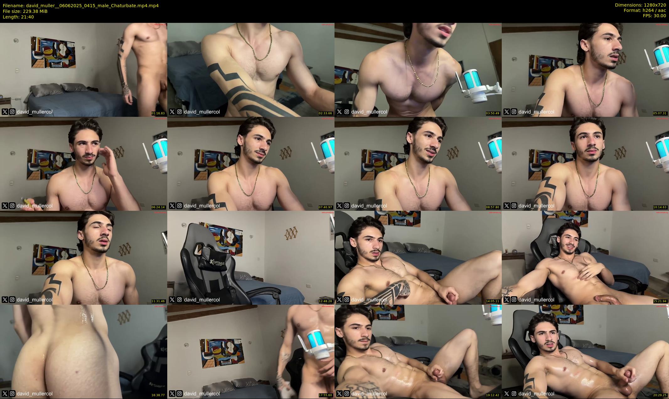 david_muller_ — 22 minute Chaturbate male cam show recording, 720p, Jun 6, 2025