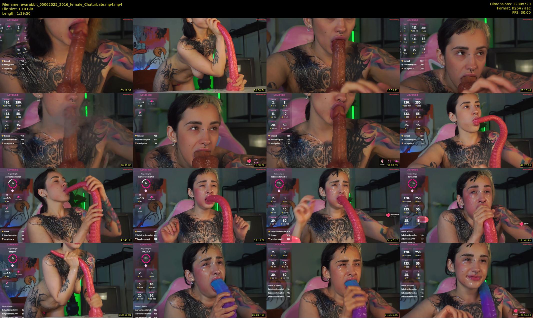 evarabbit — 90 minute Chaturbate female cam show recording, 720p, Jun 5, 2025