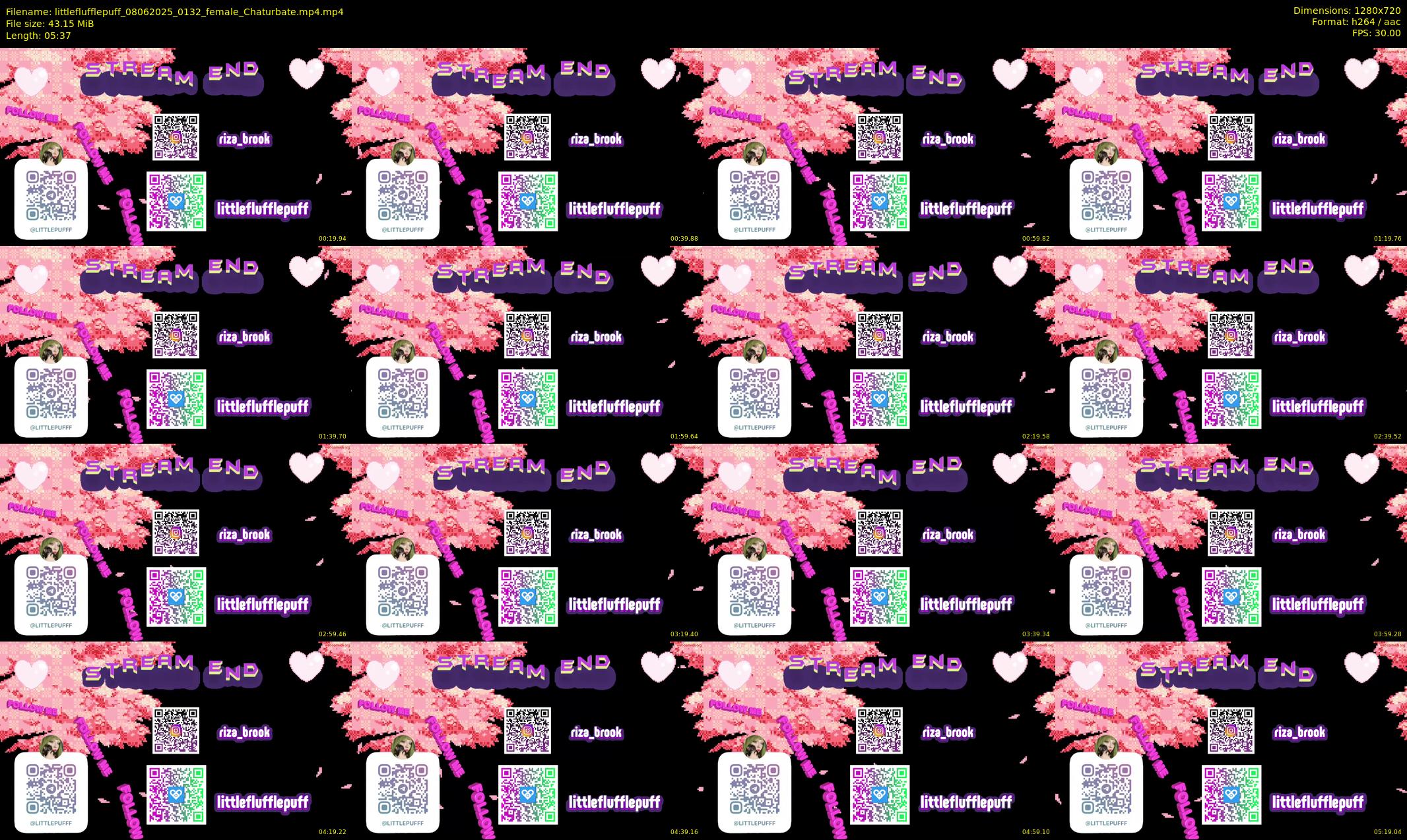 littleflufflepuff — 6 minute Chaturbate female cam show recording, 720p, Jun 8, 2025