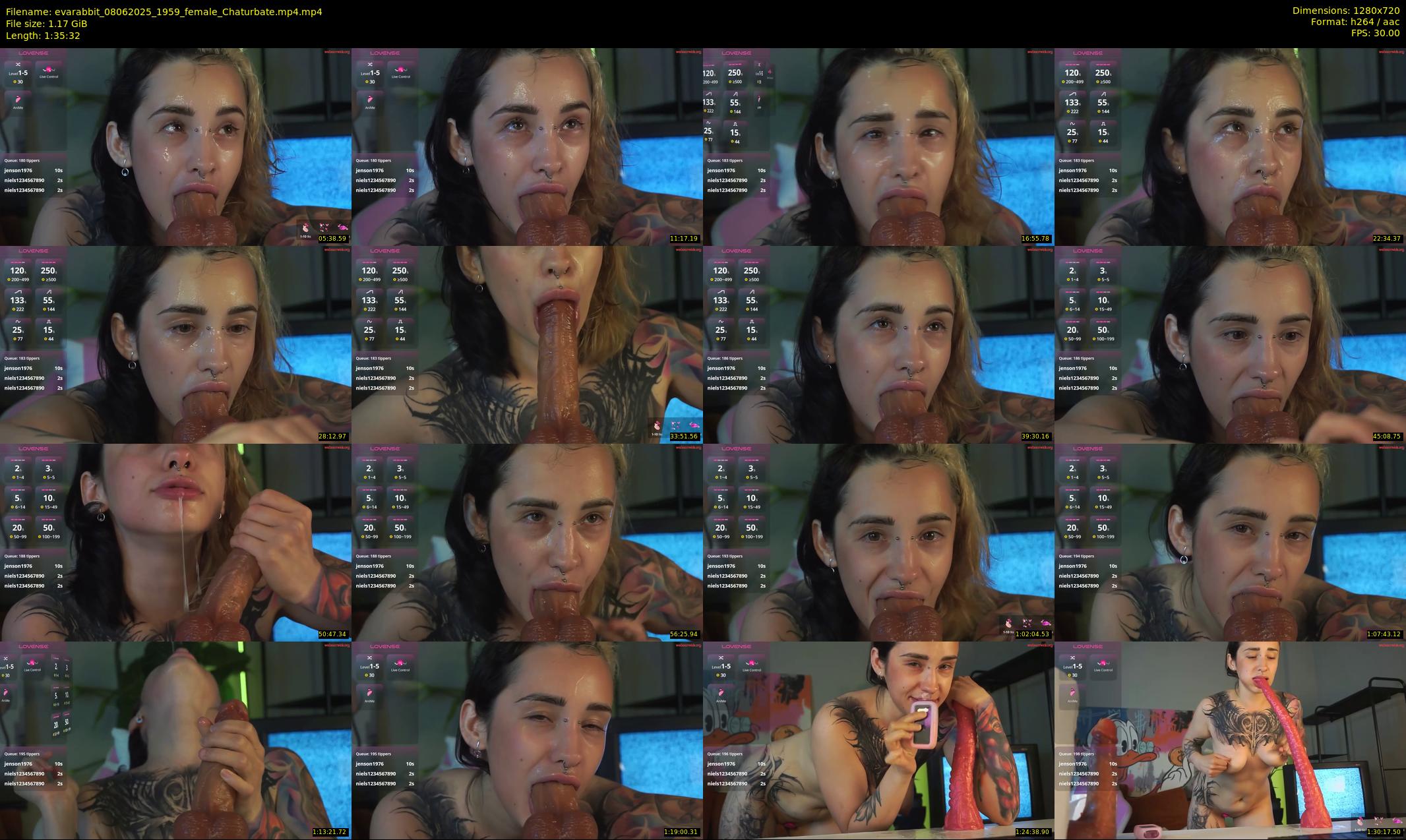 evarabbit — 96 minute Chaturbate female cam show recording, 720p, Jun 8, 2025