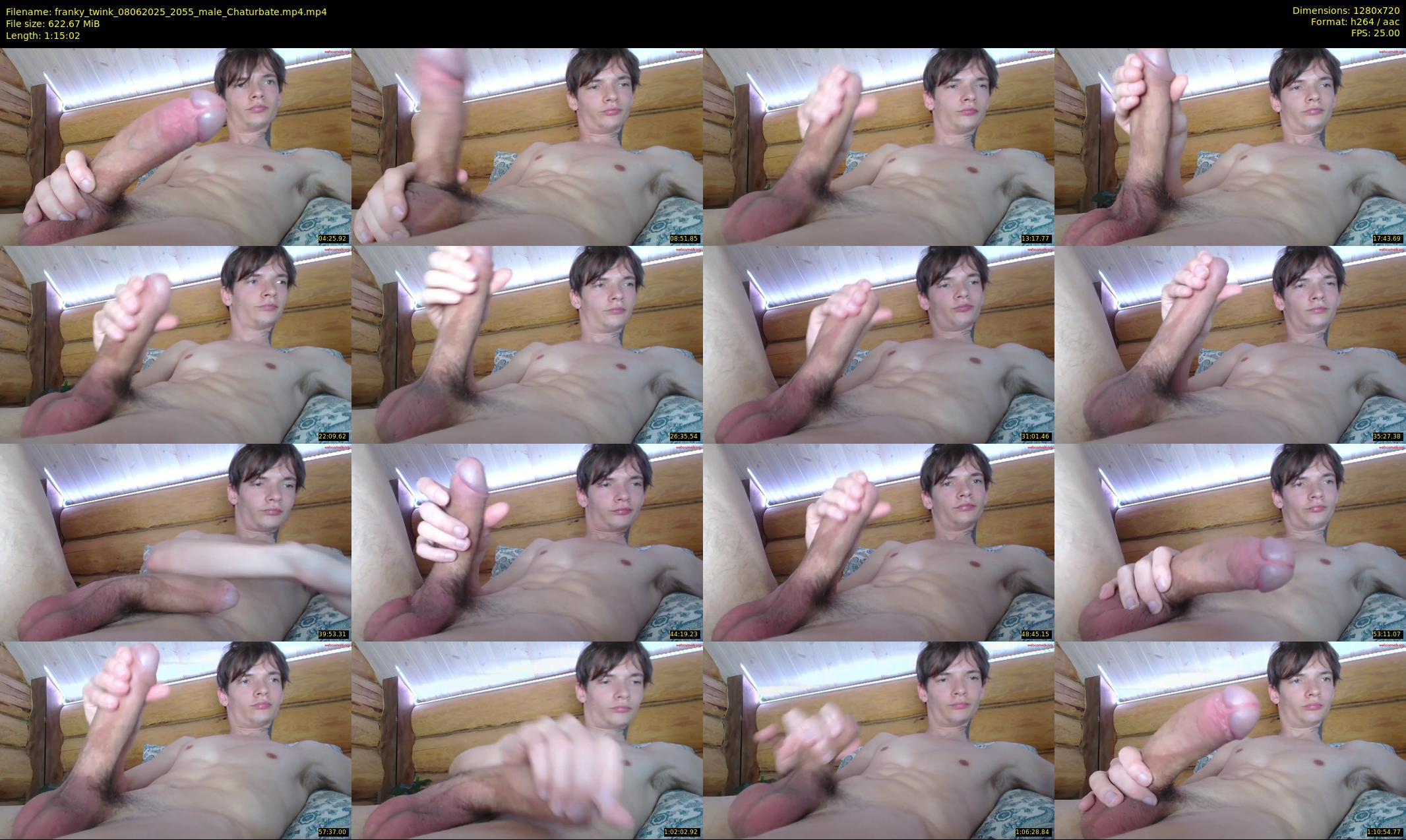 franky_twink — 76 minute Chaturbate male cam show recording, 720p, Jun 8, 2025